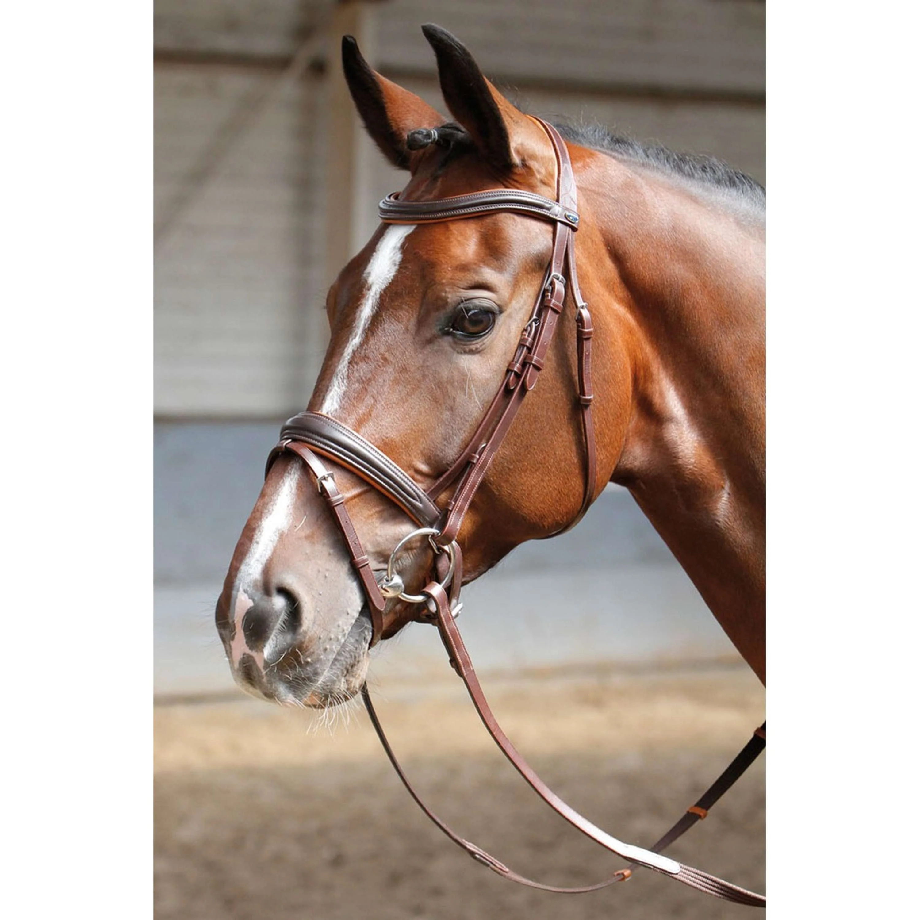 Harry's Horse Bride Soft Marron - Image 2