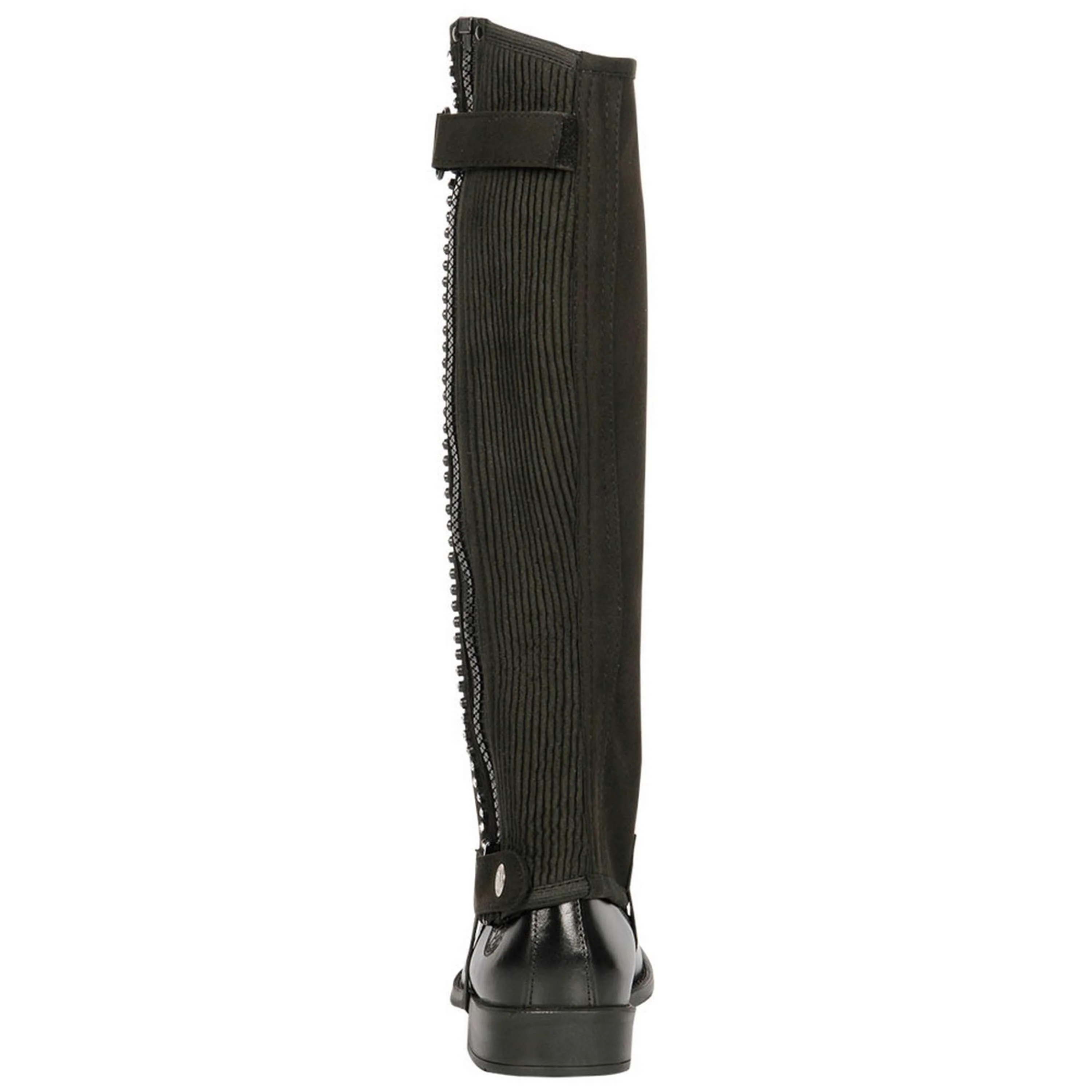 Harry's Horse Chaps Amara Crystal Noir - Image 2