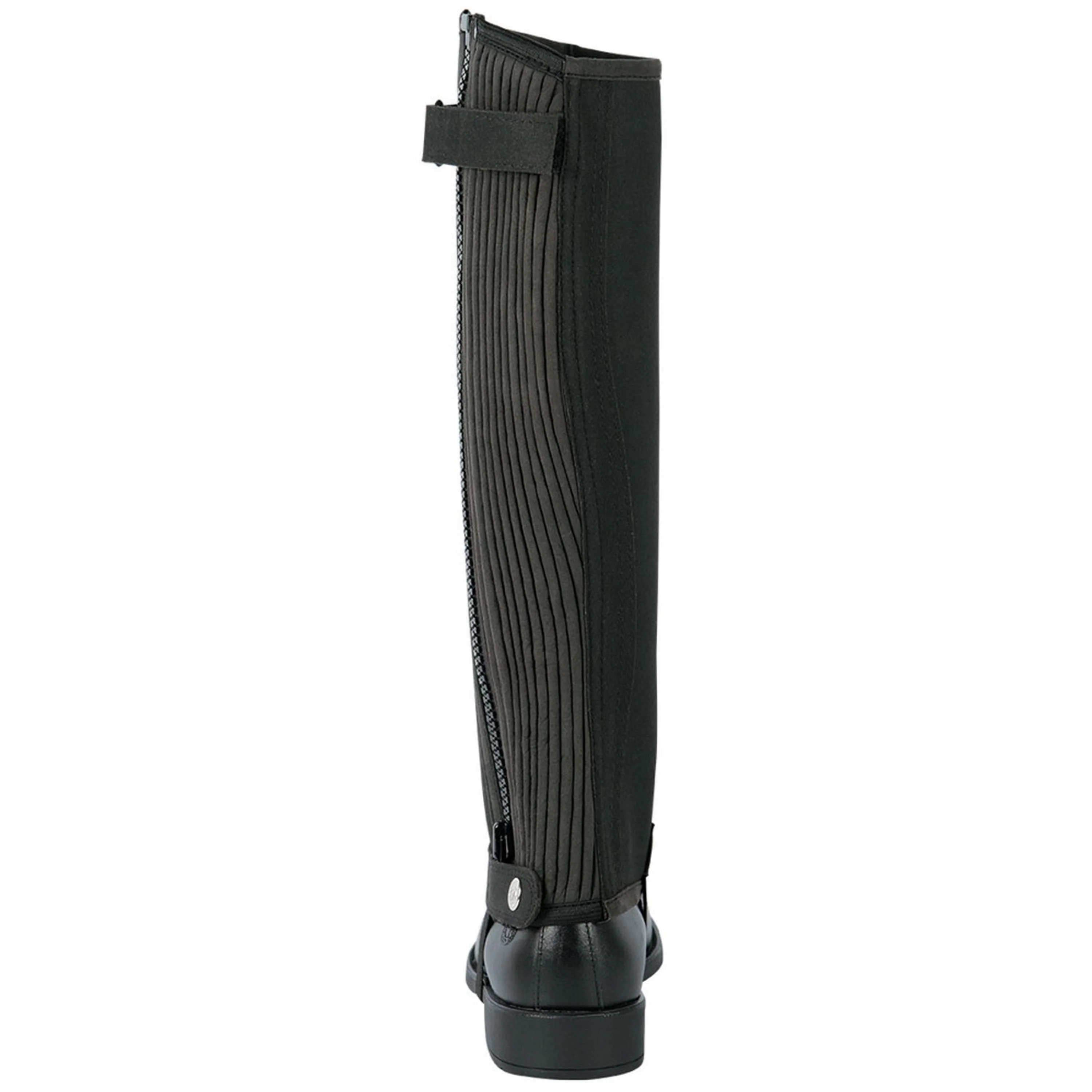 Harry's Horse Chaps Amara Noir - Image 2