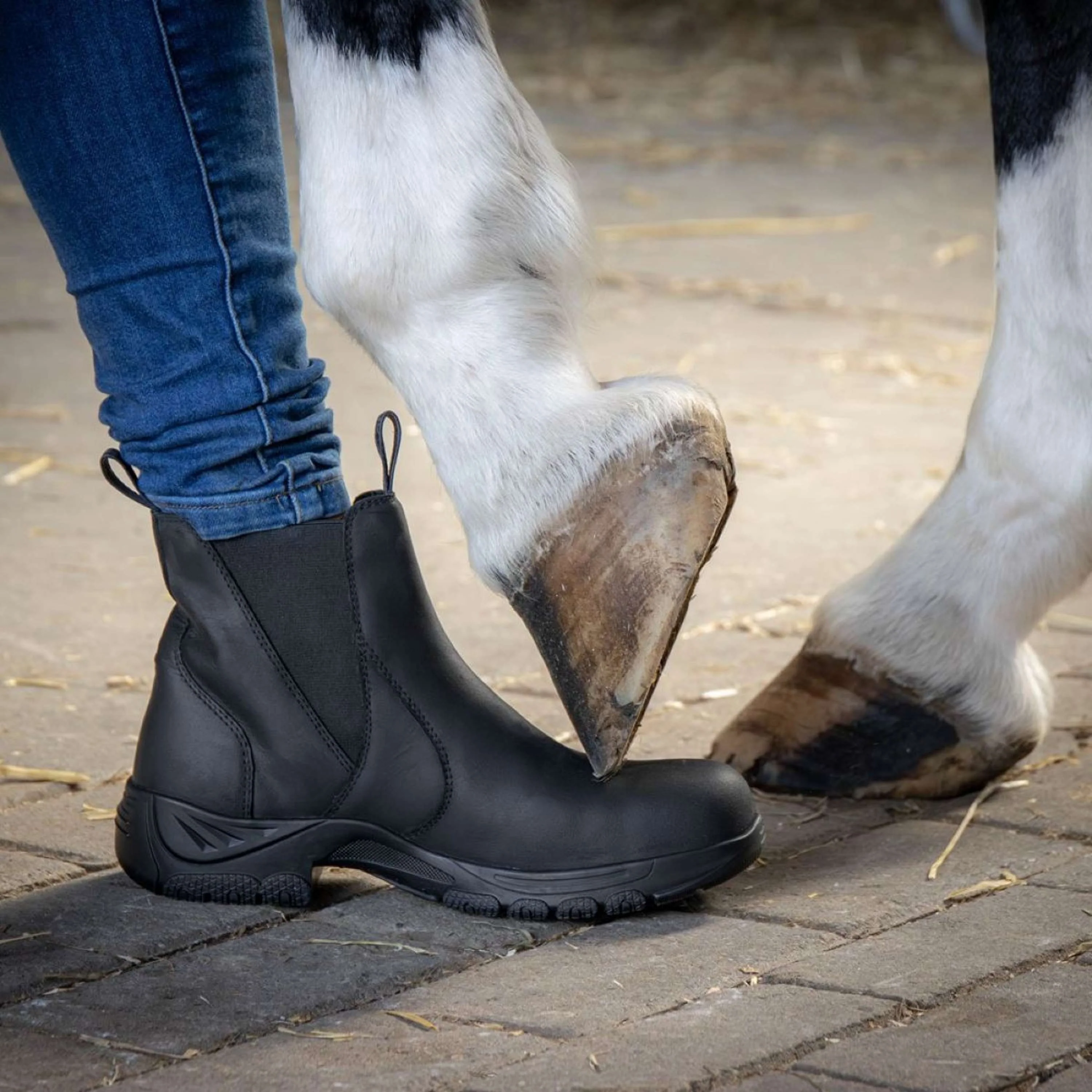 Harry's Horse Chaussures d'Écurie Leder Safety Steel Toe Noir - Image 3