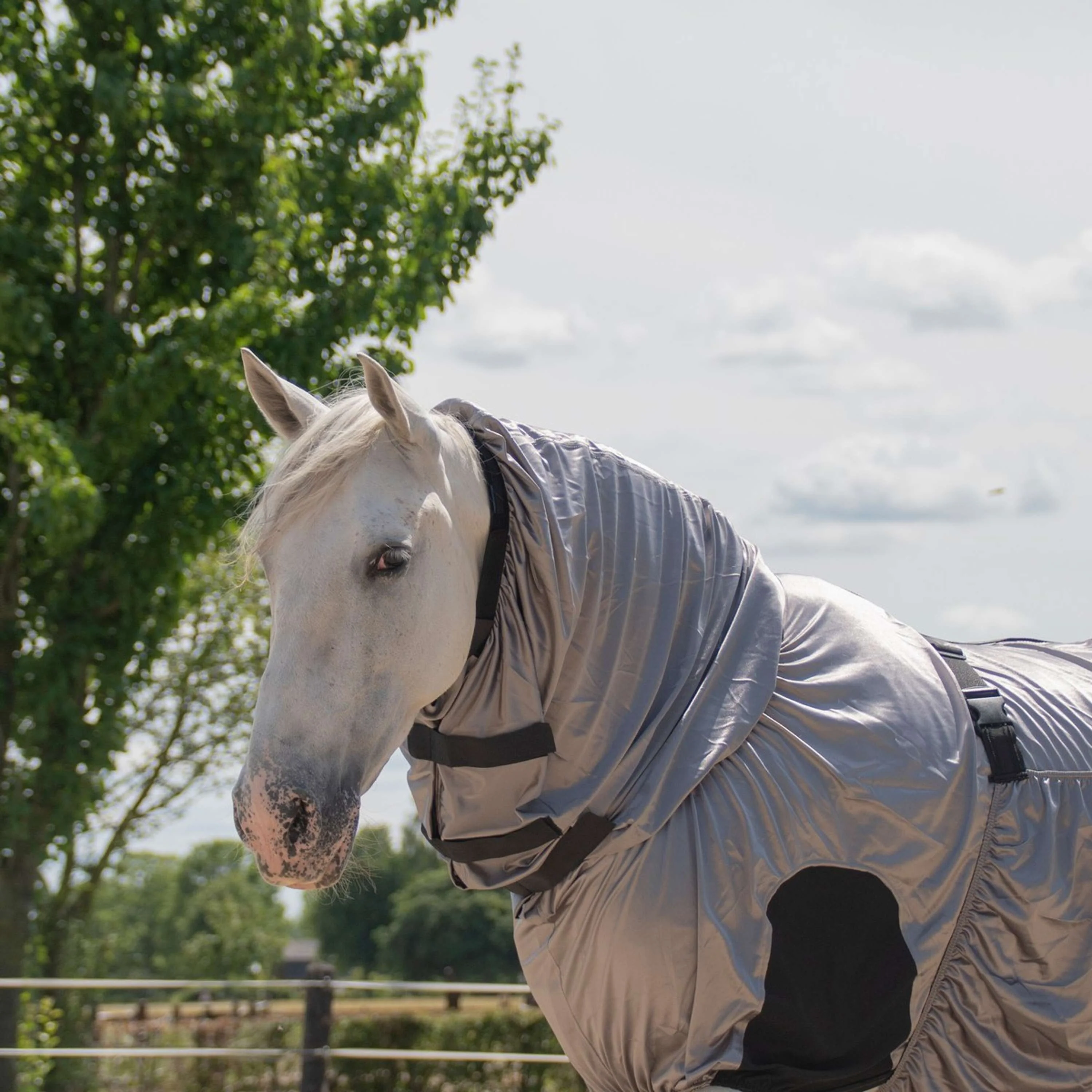 Harry's Horse Chemises anti-mouches/Eczéma UV - Image 2