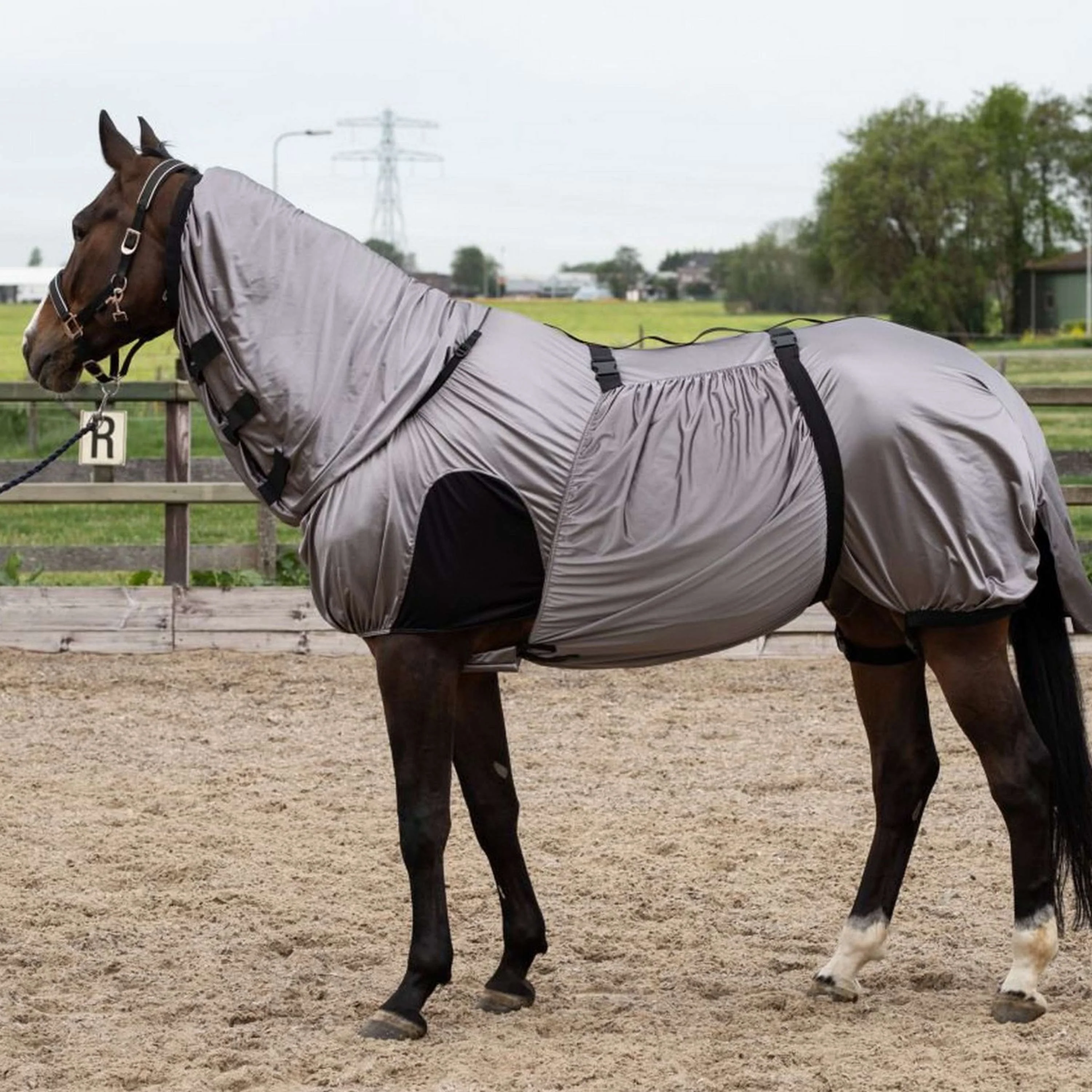 Harry's Horse Chemises anti-mouches/Eczéma UV - Image 7