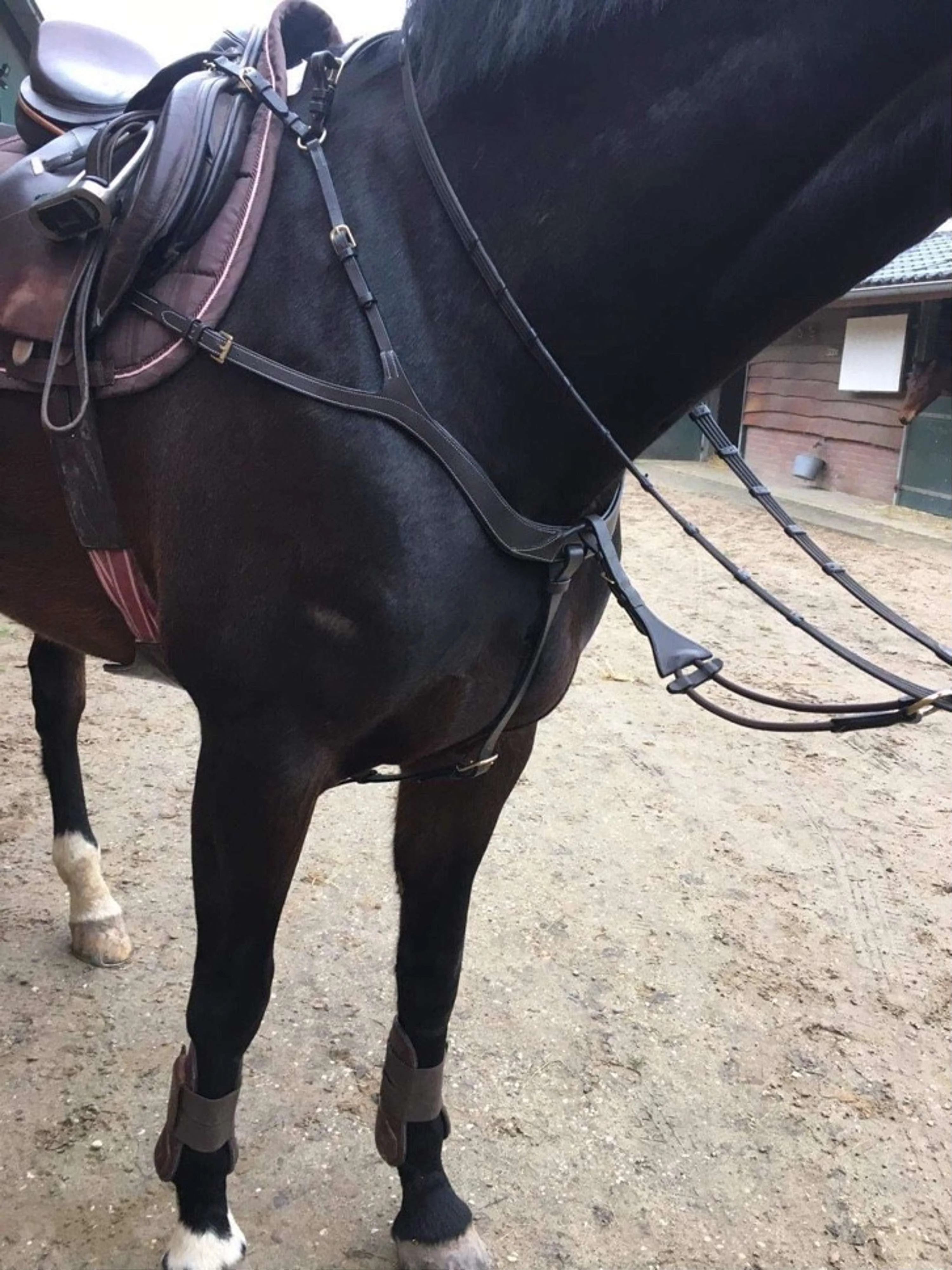 Harry's Horse Collier de Chasse Deluxe Marron - Image 4
