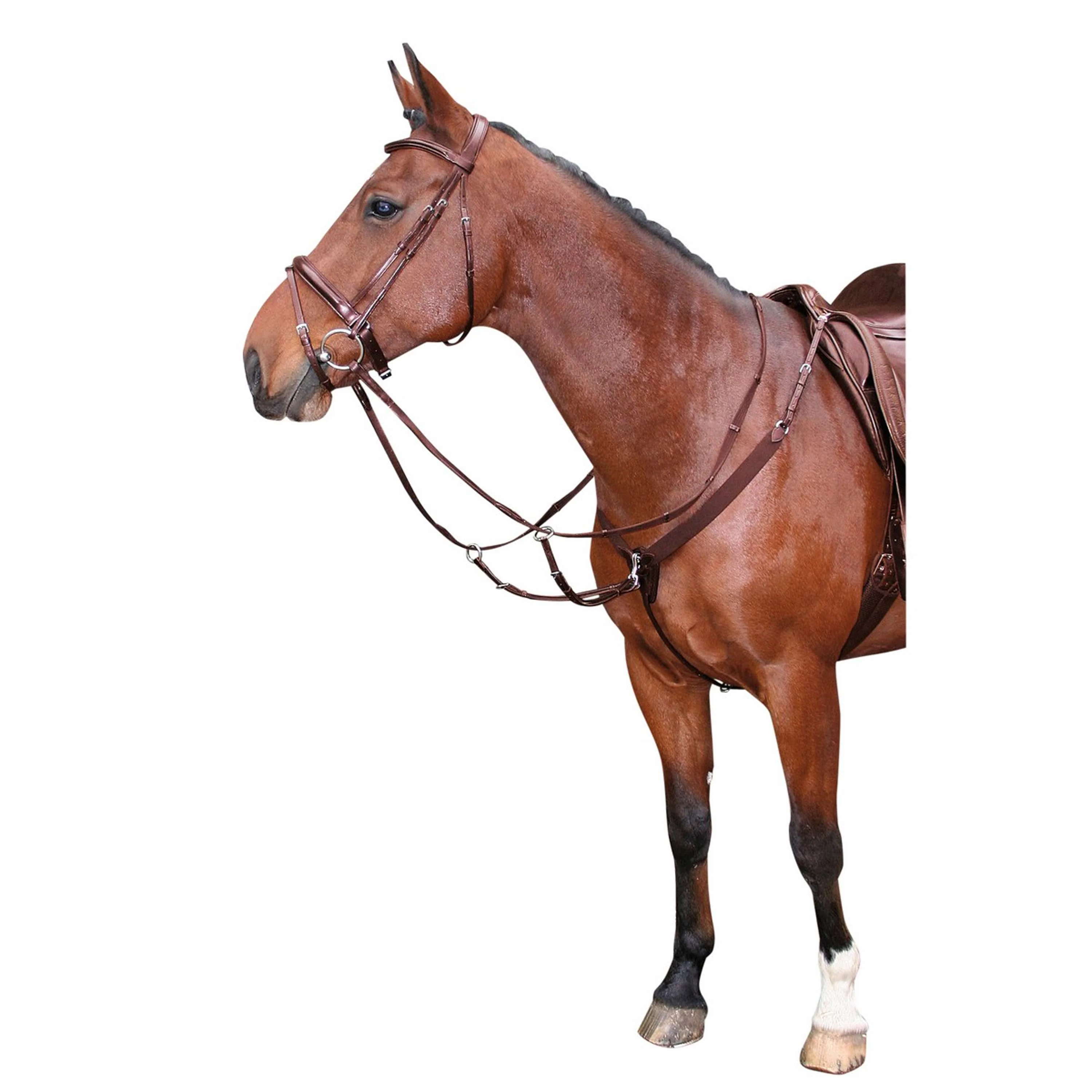 Harry's Horse Collier de Chasse Élastique Marron - Image 2