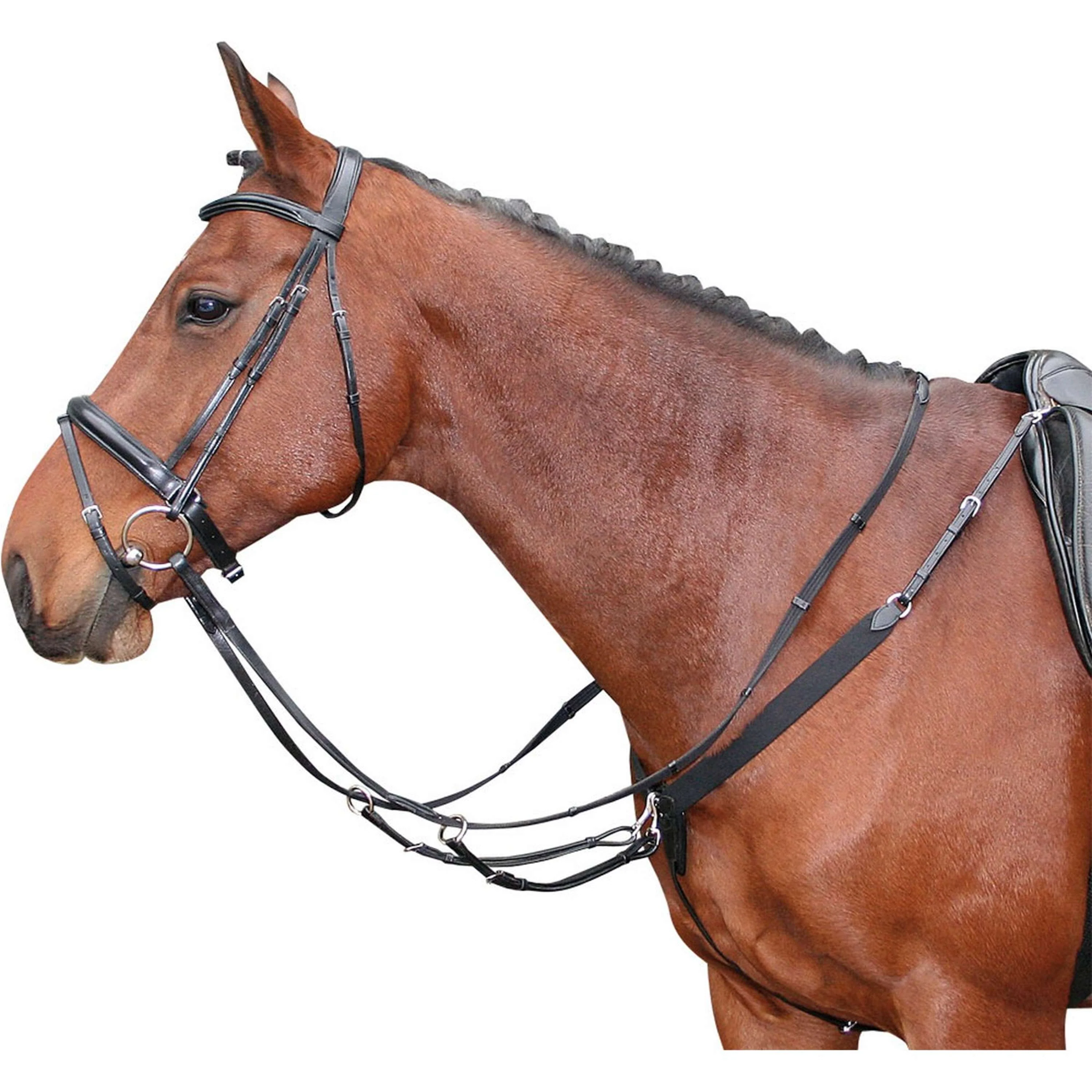 Harry's Horse Collier de Chasse Élastique Noir - Image 2