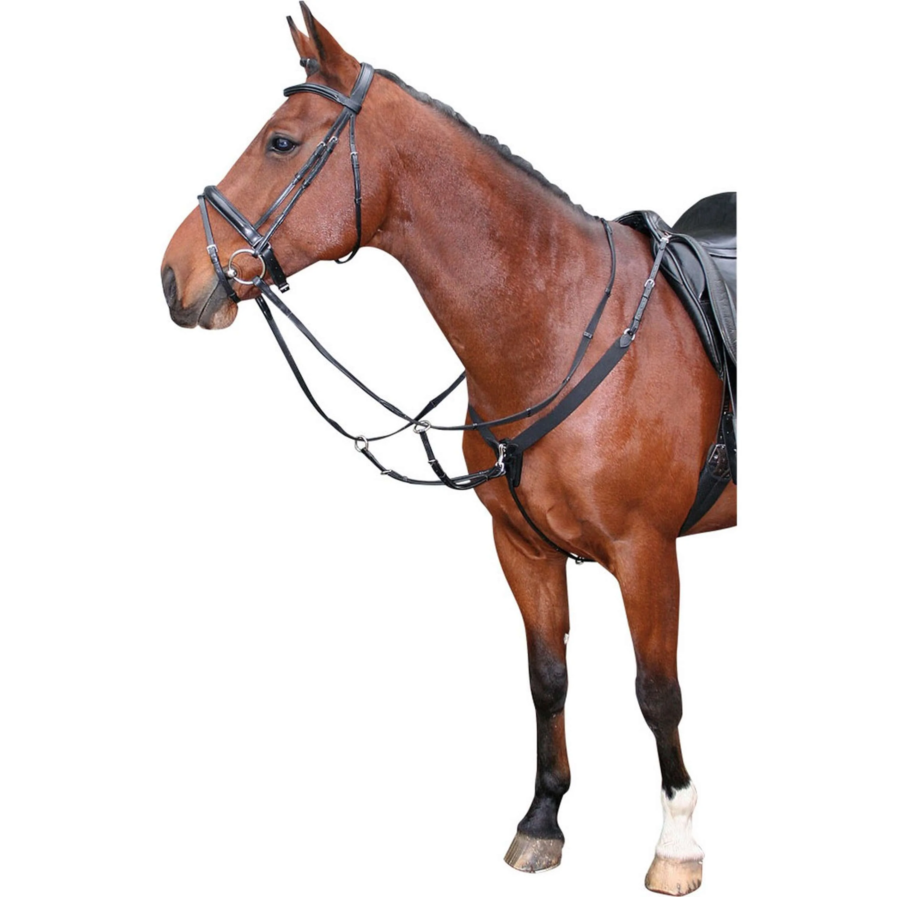 Harry's Horse Collier de Chasse Élastique Noir - Image 3