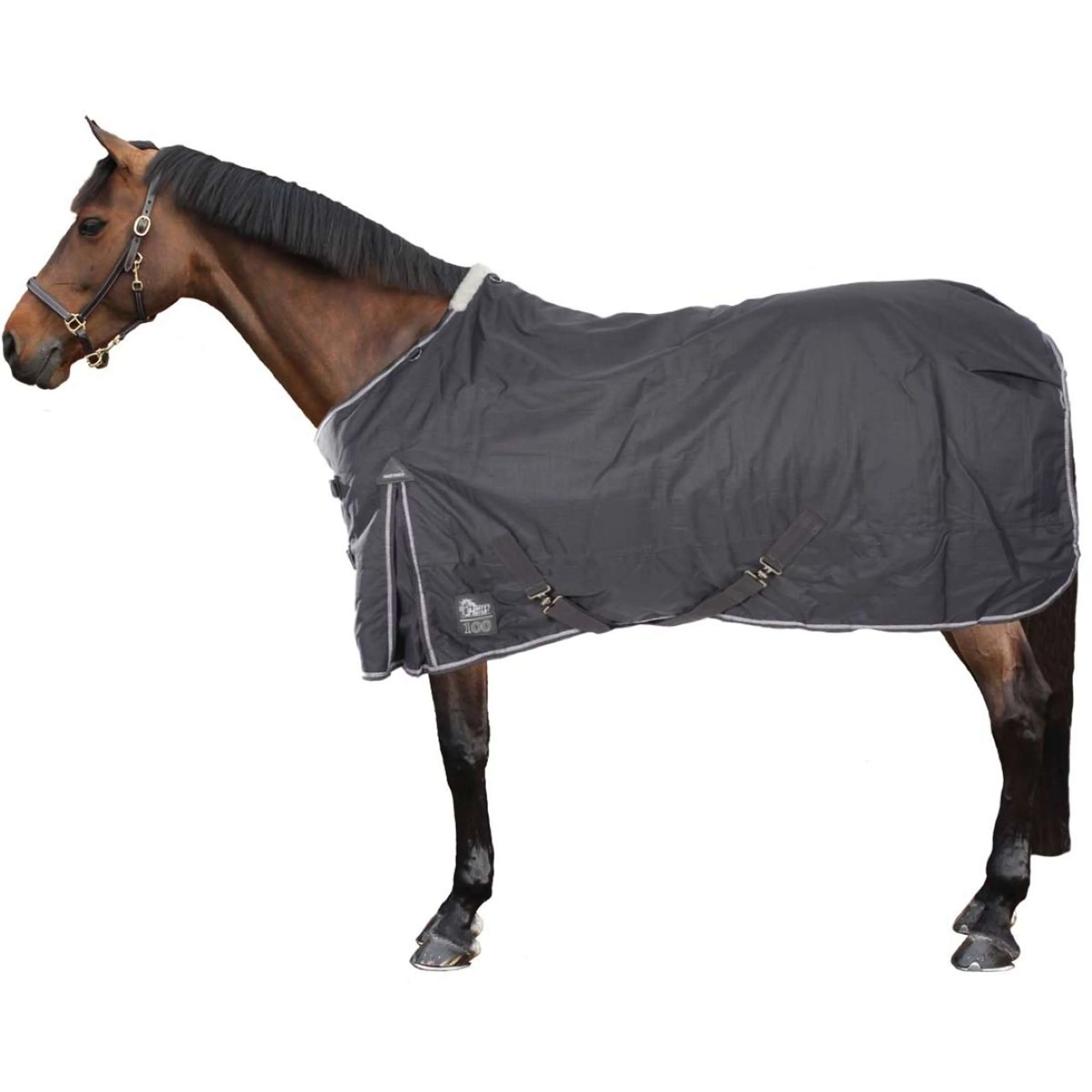 Harry's Horse Couverture d'Extérieur Thor 100g Ébène - Image 2