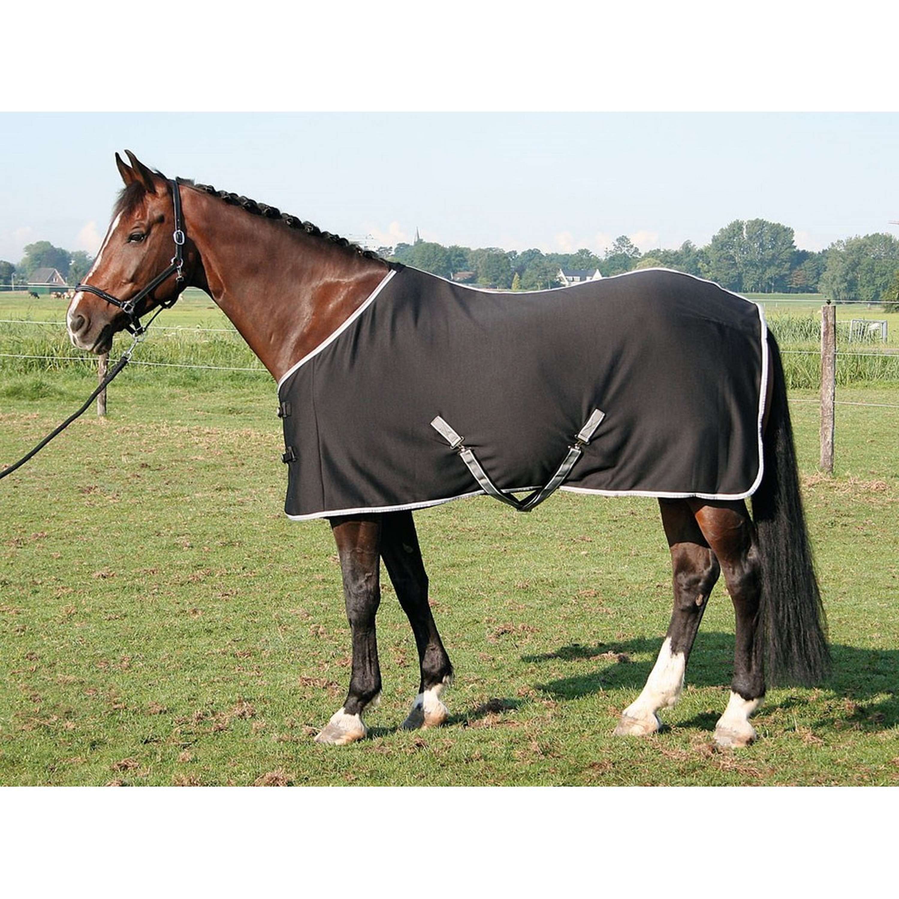 Harry's Horse Couverture Jersey Cooler Noir - Image 7