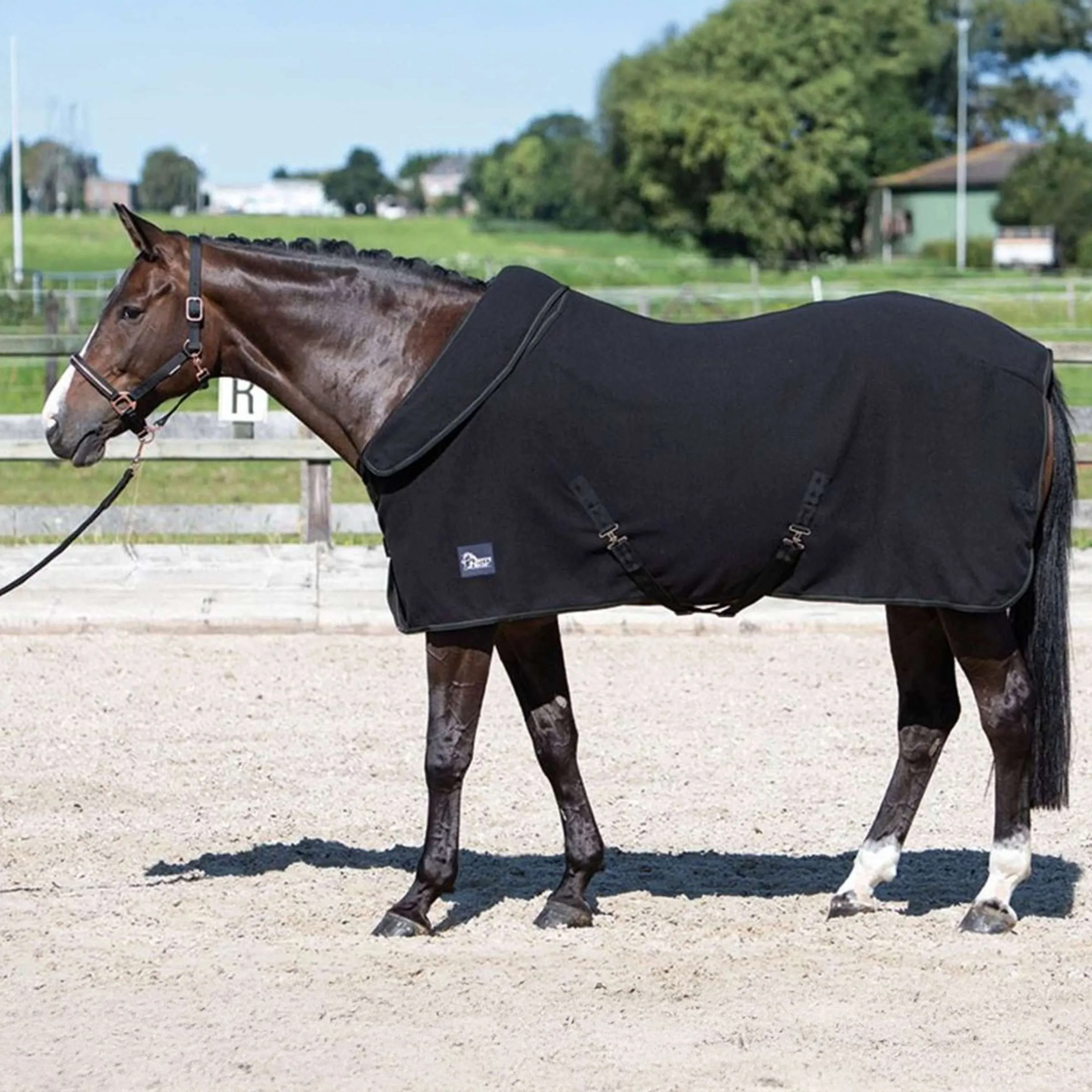 Harry's Horse Couverture Polaire avec Col Enroulable Noir - Image 2