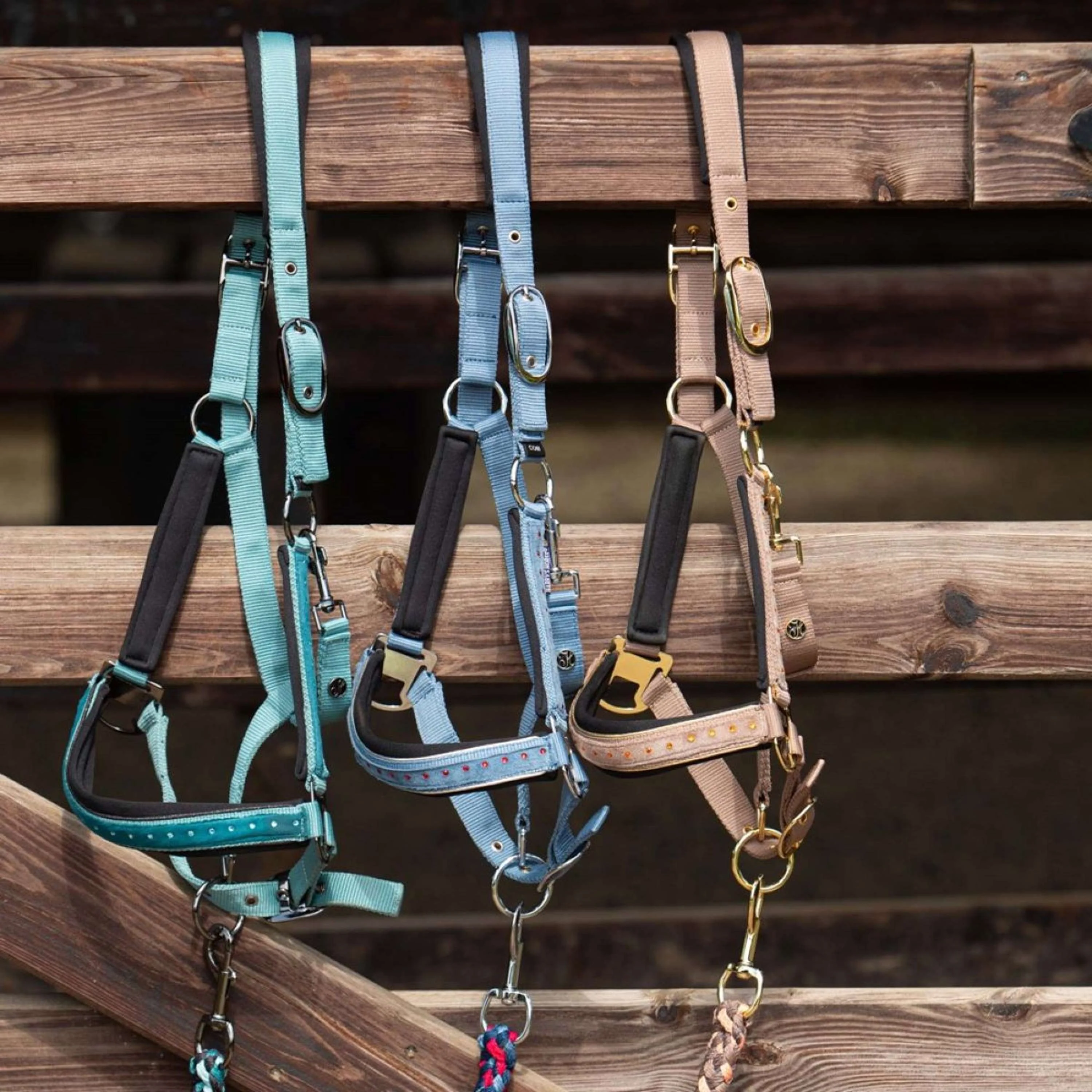 Harry's Horse Ensemble Licol Crystal Bleu ciel - Image 3