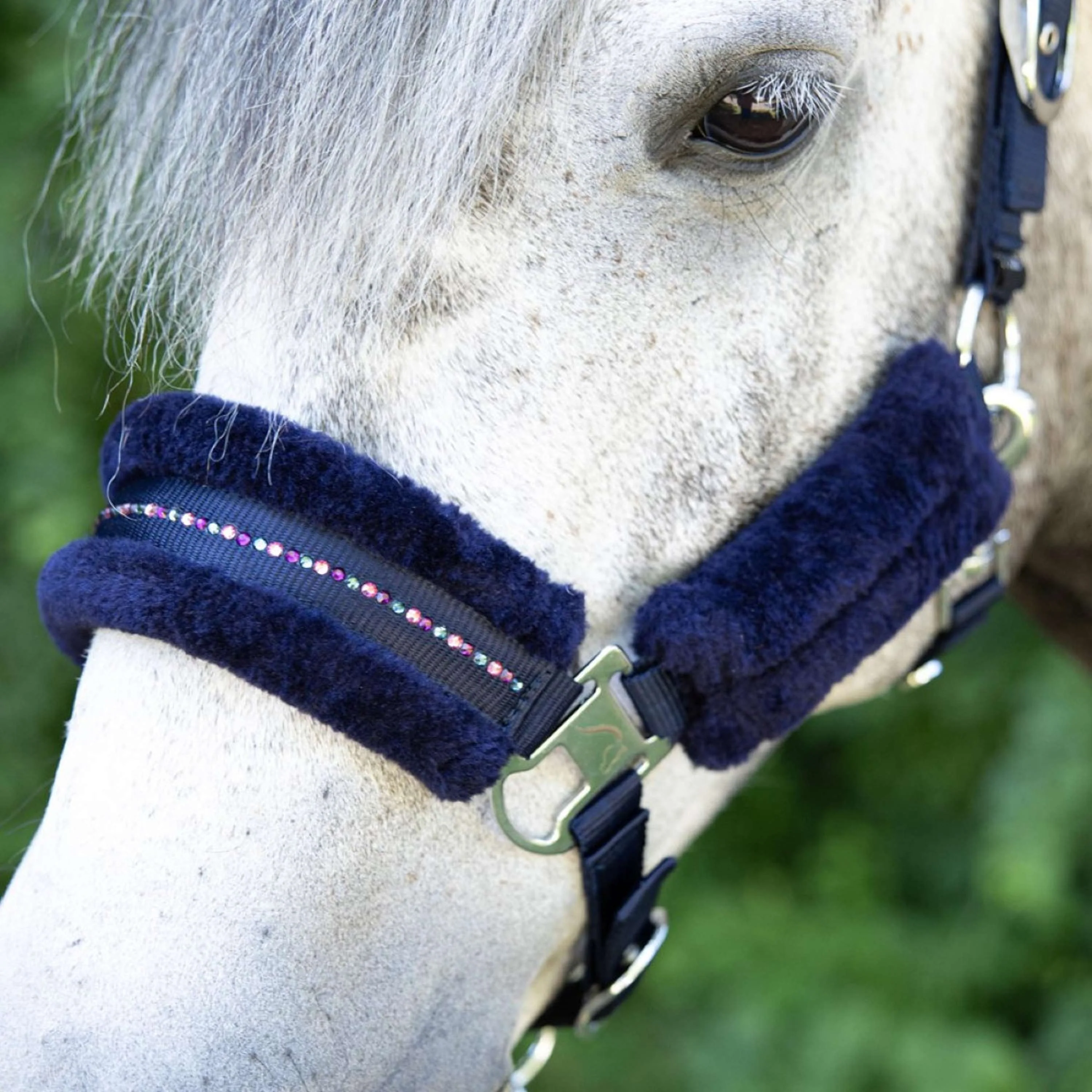 Harry's Horse Ensemble Licol Denici Cavalli Purple Passion Crystal Peacoat - Image 3