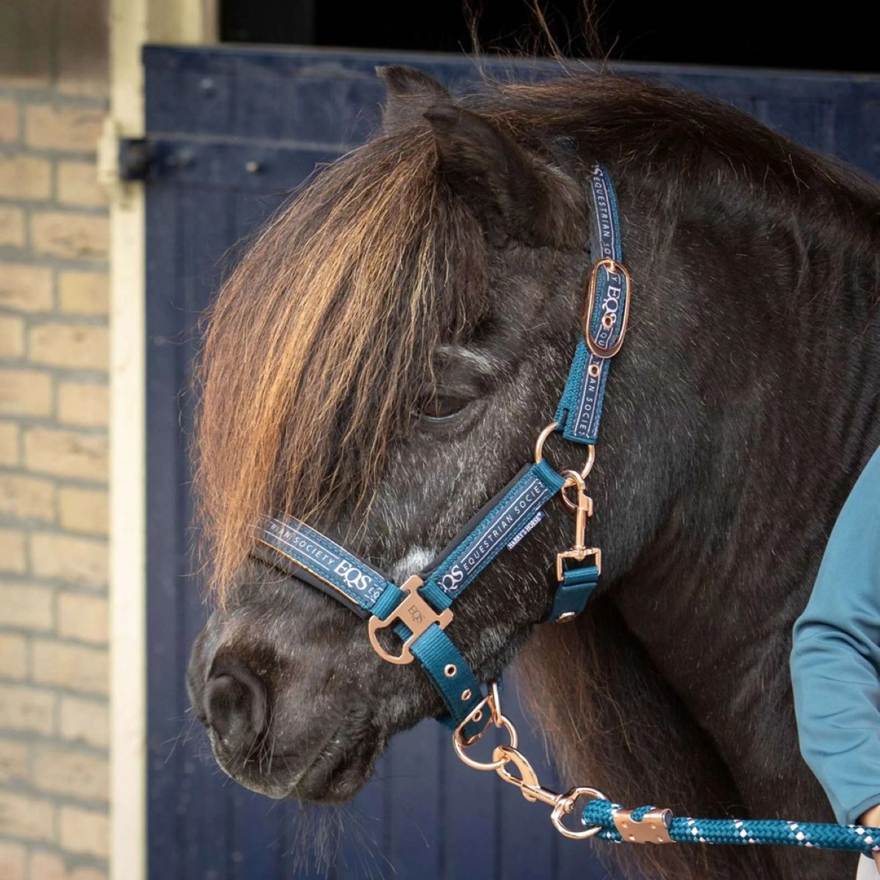 Harry's Horse Ensemble Licol Equestrian Society Moonlit Ocean - Image 2