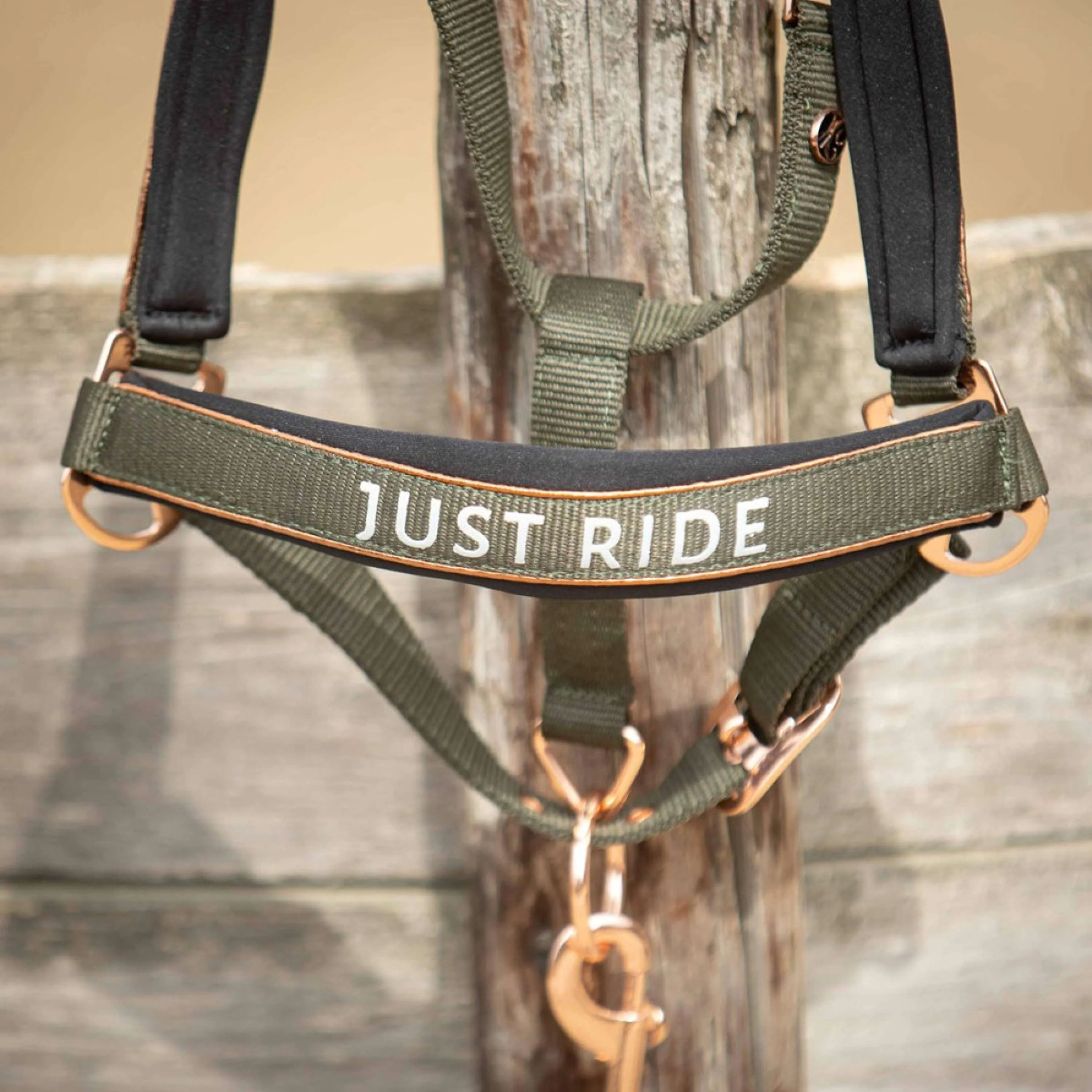 Harry's Horse Ensemble Licol Just Ride Summer Chique Kambaba - Image 2