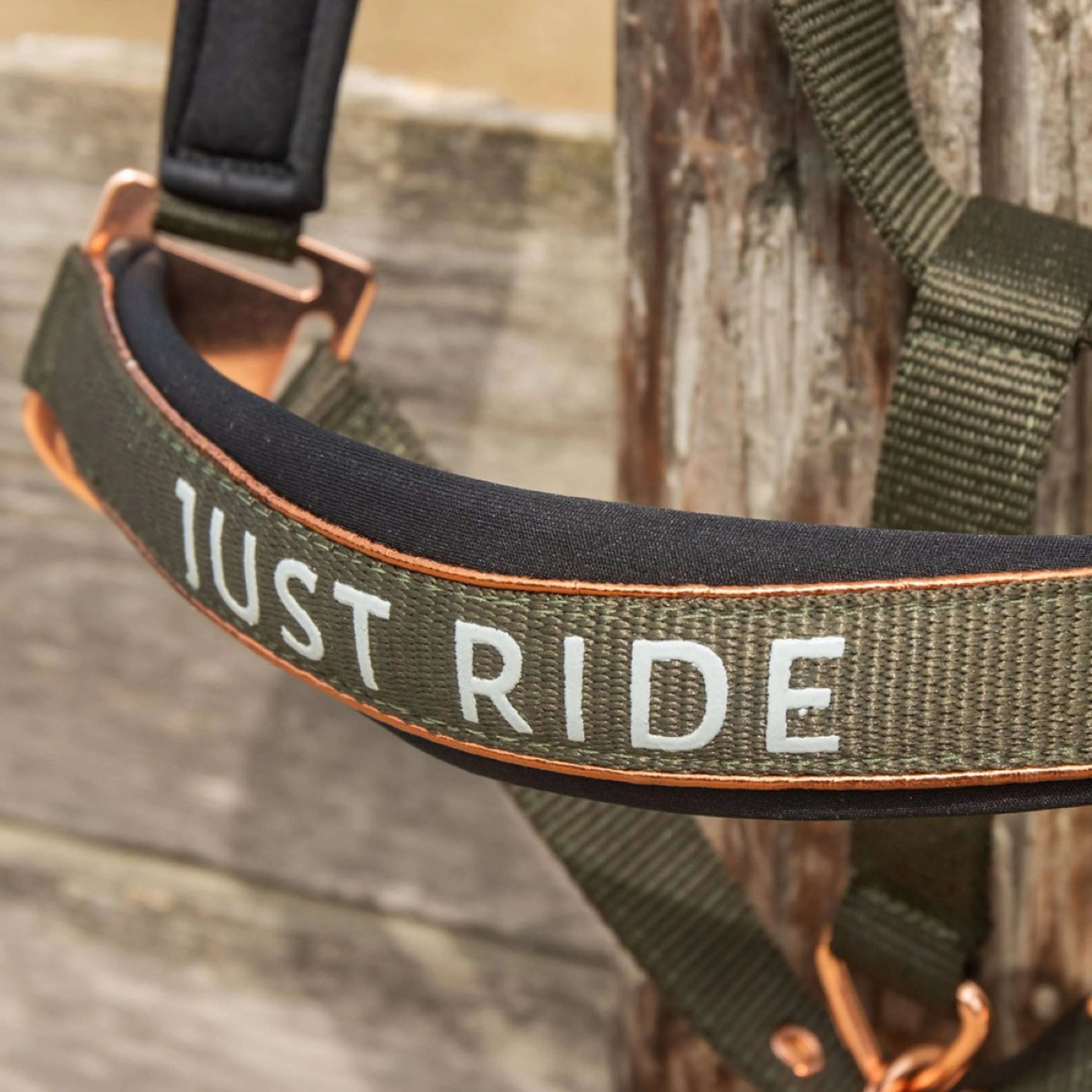 Harry's Horse Ensemble Licol Just Ride Summer Chique Kambaba - Image 3