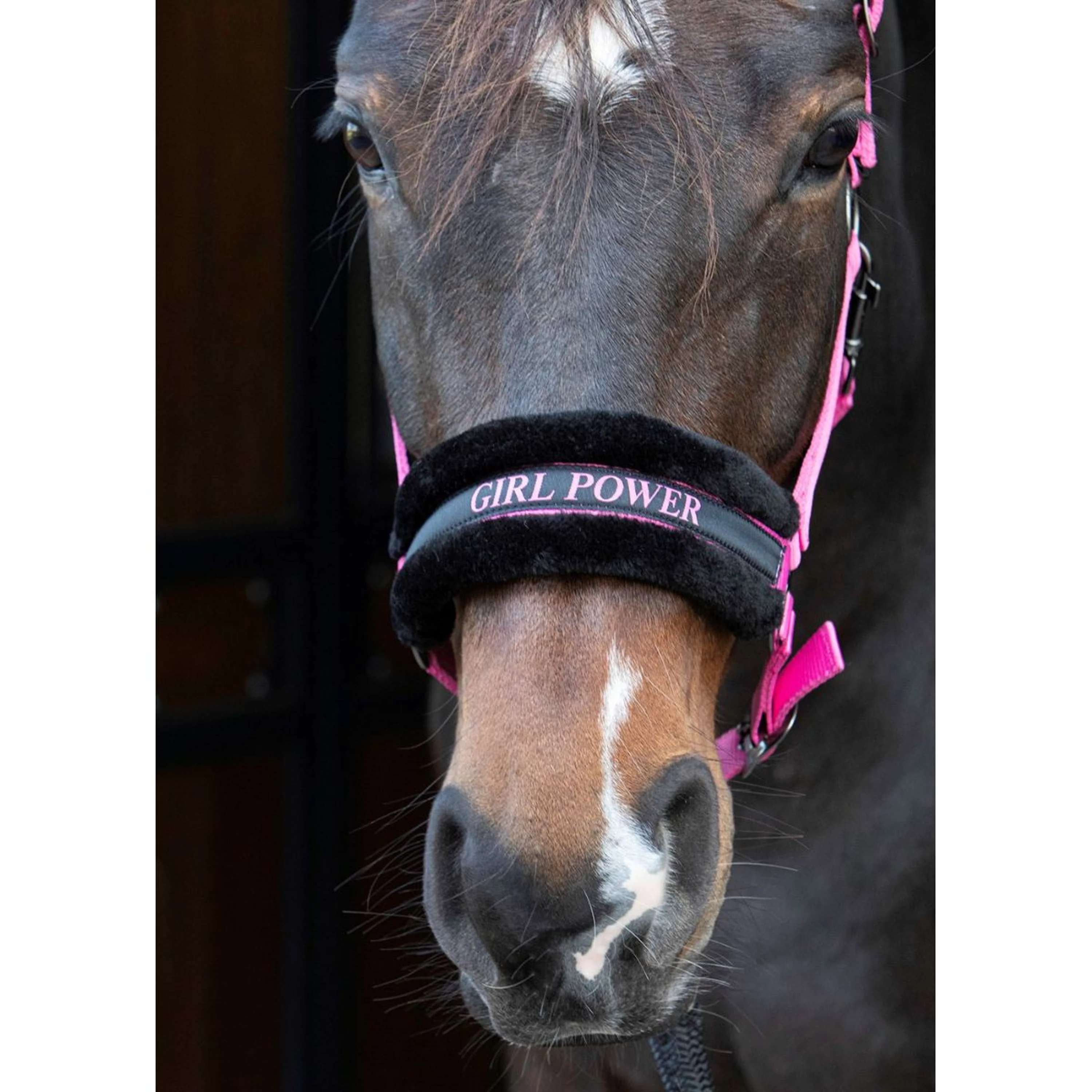 Paroles et citations de Harry's Horse Halter Rose - Image 2