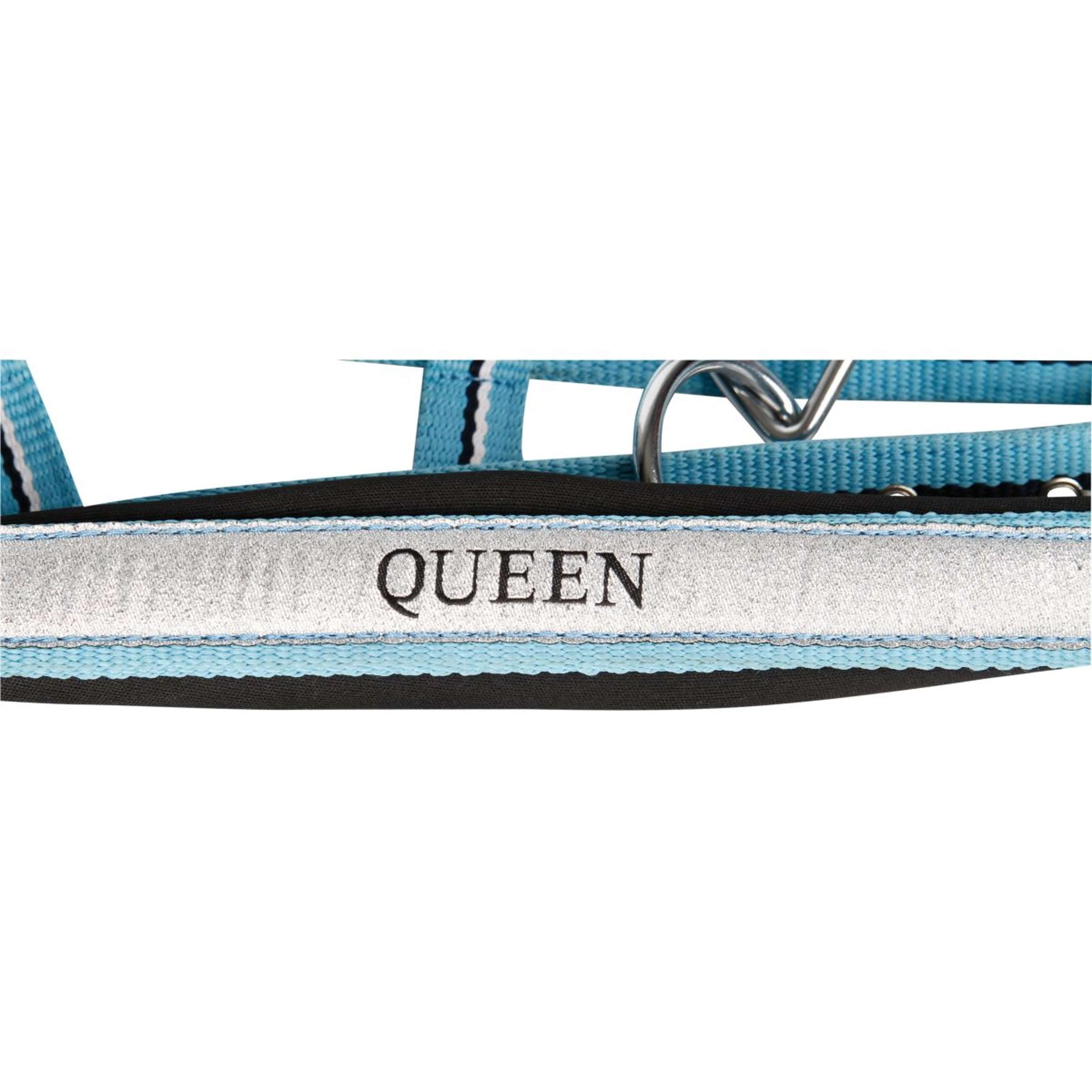 Harry's Horse Ensemble Licol Mare Bleu clair - Image 2