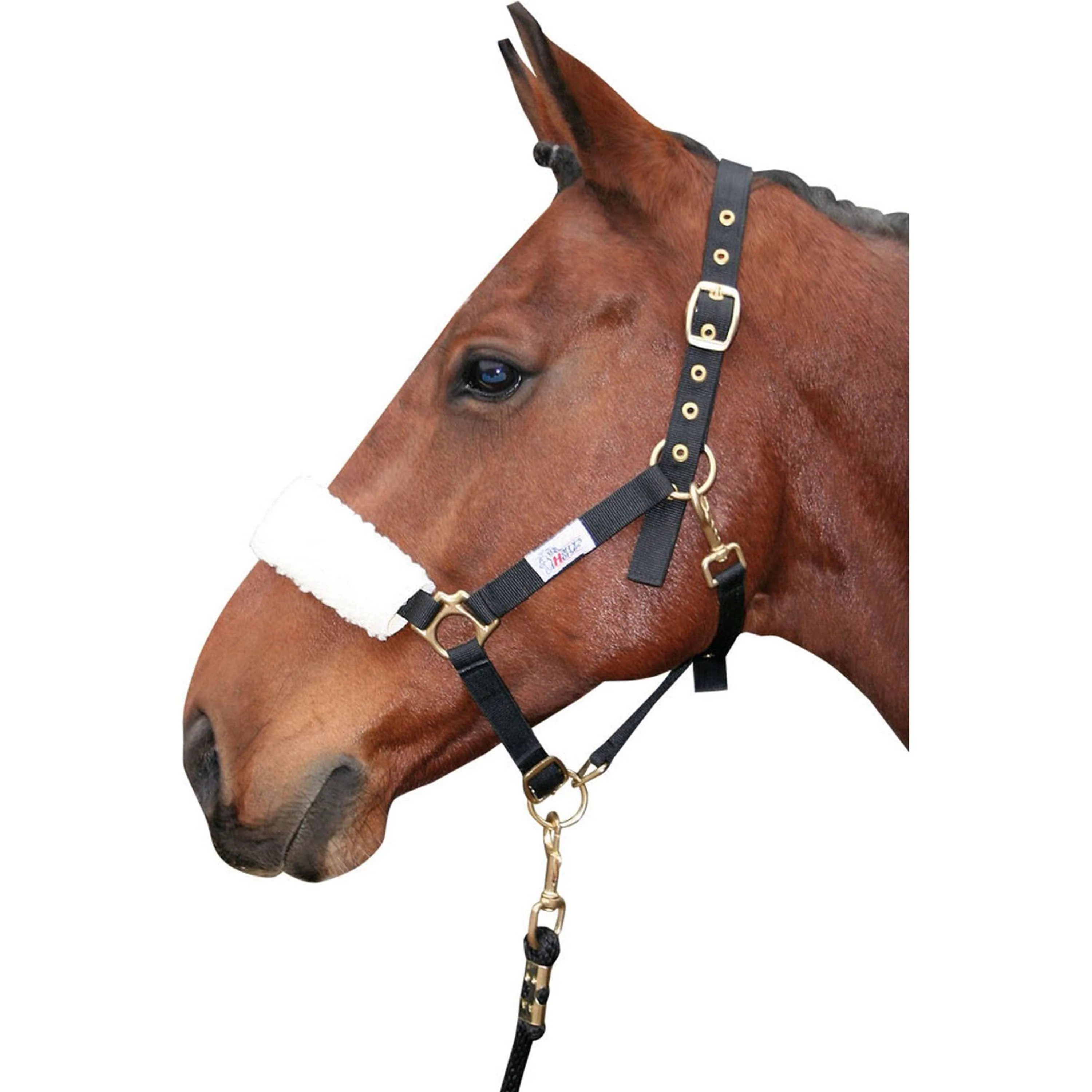 Harry's Horse Fourreau Muserolle Synthétique Beige - Image 2