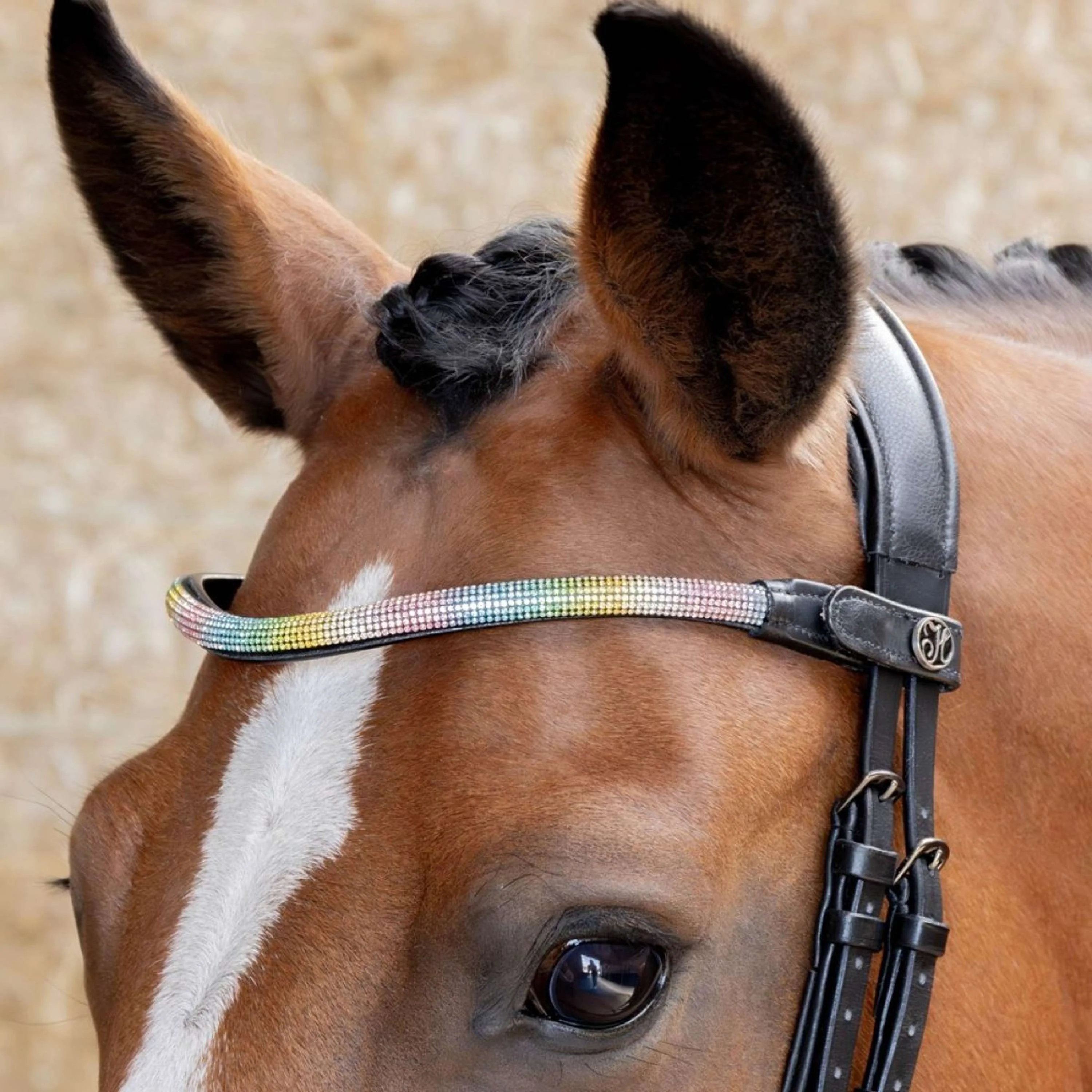Harry's Horse Frontal Rainbow arc-en-ciel - Image 2