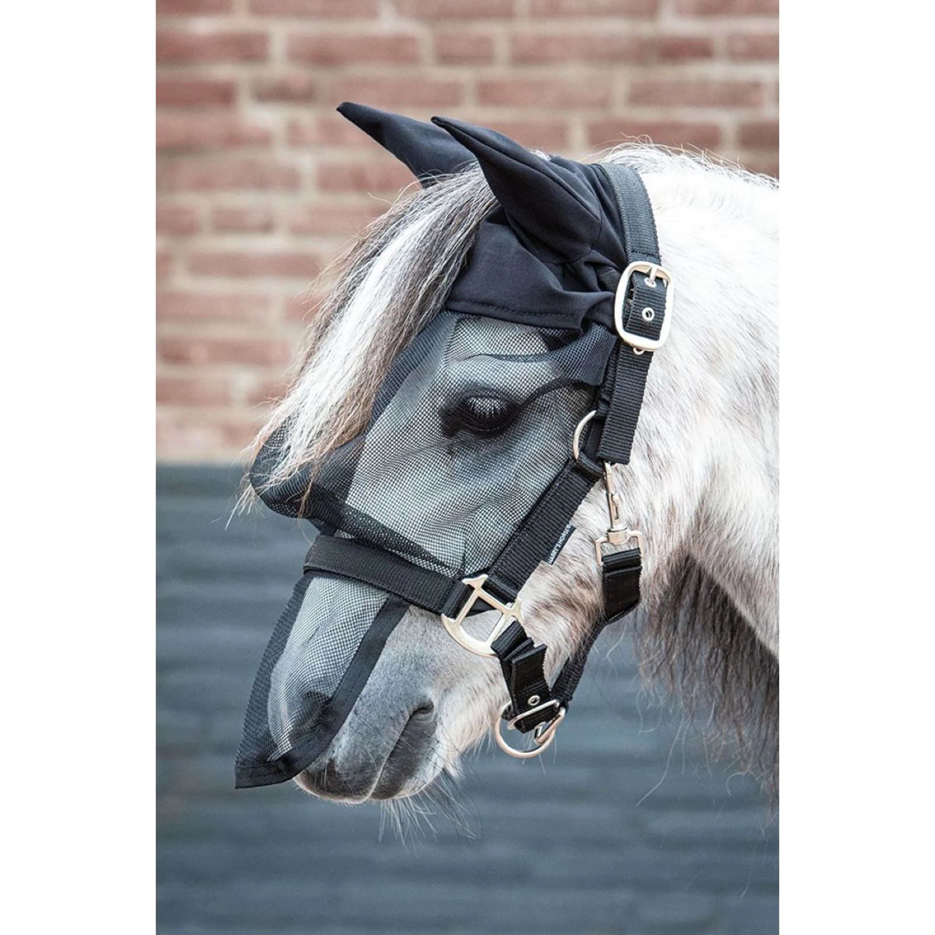 Harry's Horse Licol Anti-Mouches avec Oreilles - Image 2