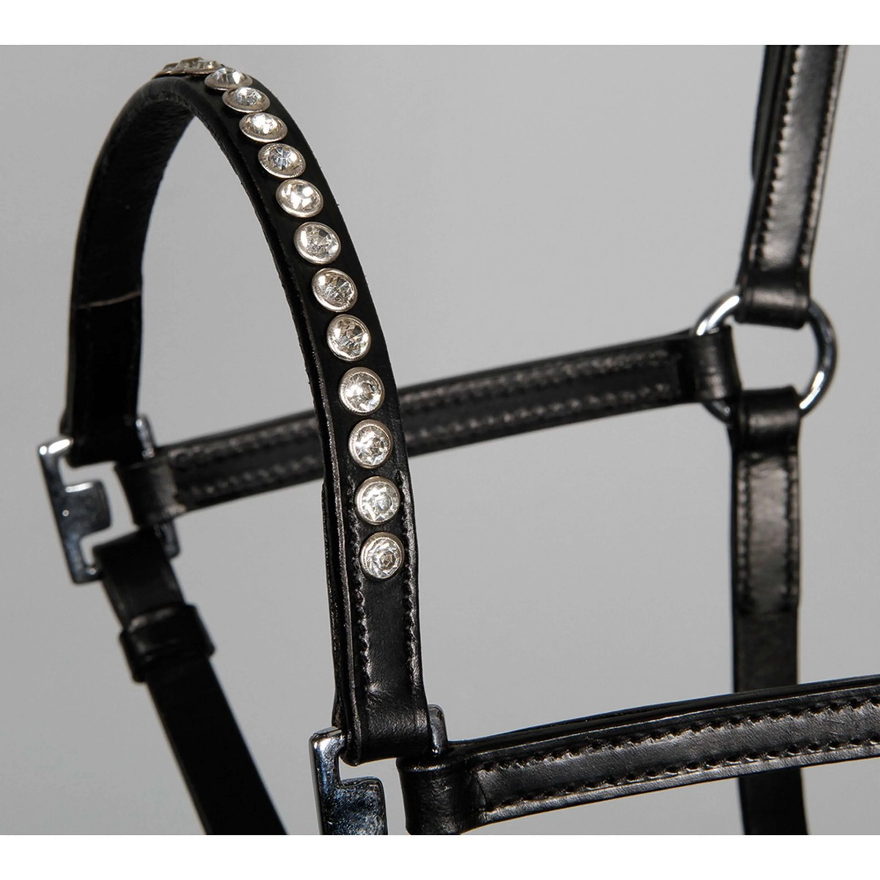 Harry's Horse Licol Crystal - Image 2