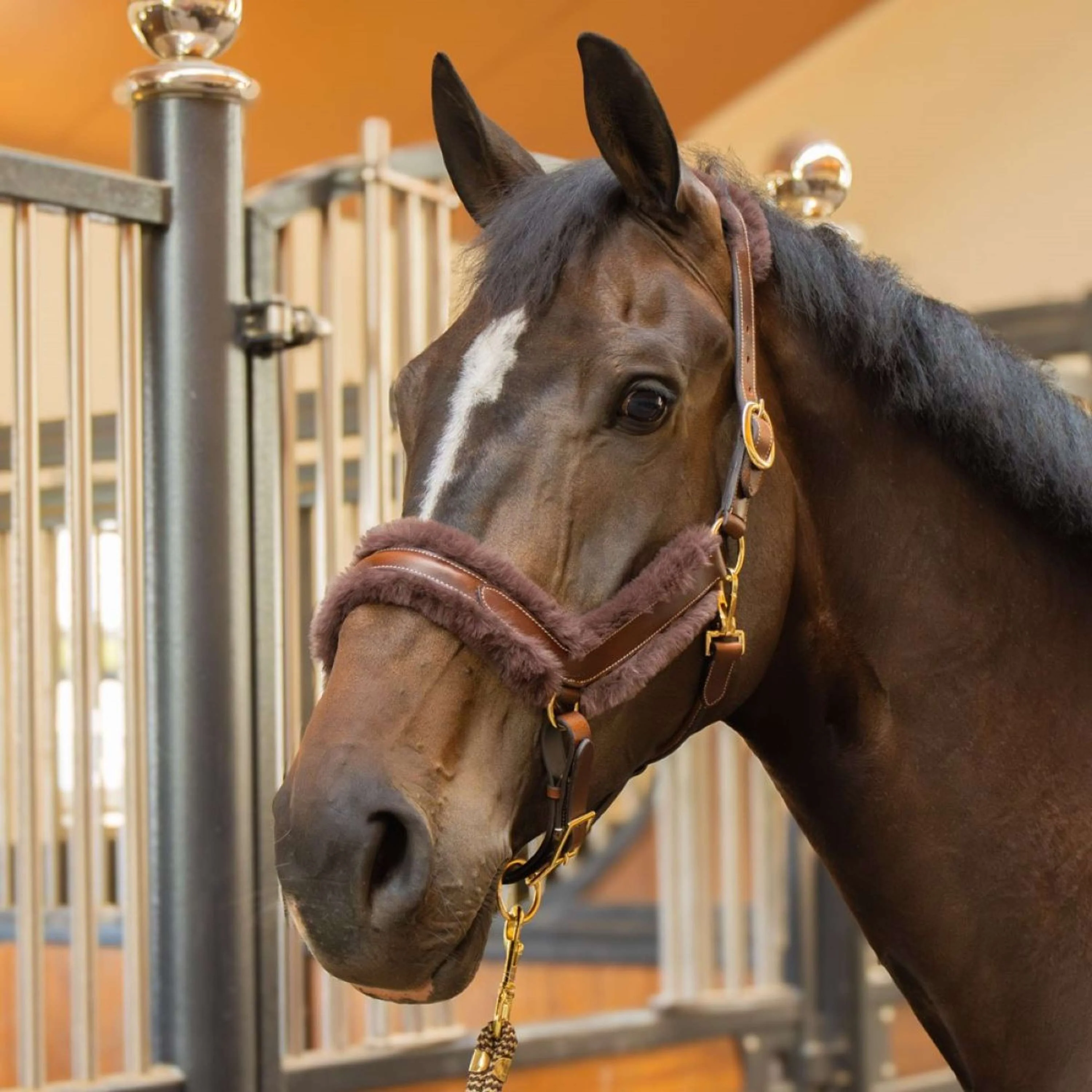 Harry's Horse Licol Leder Anatomic Furry Matt Marron - Image 2