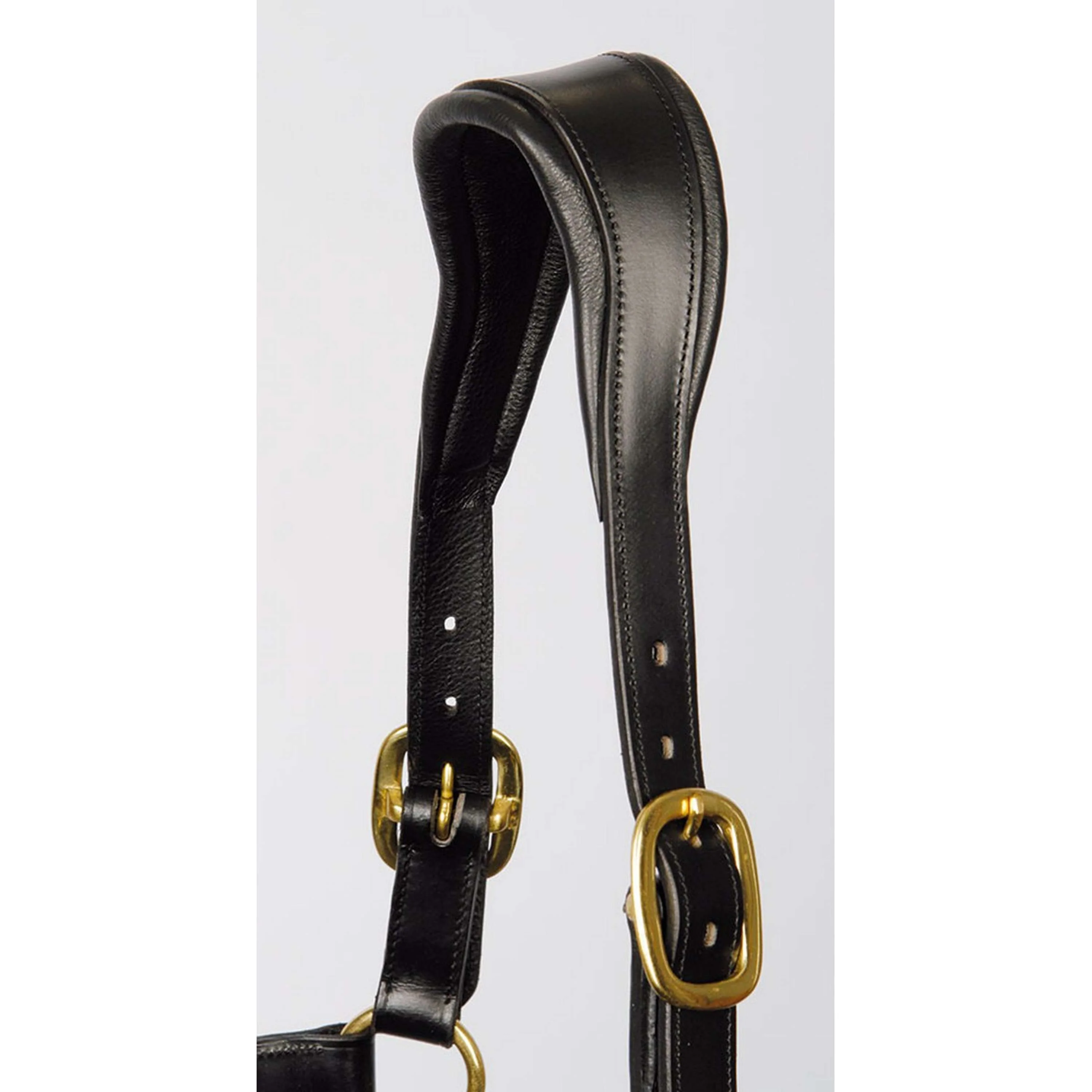 Harry's Horse Licol Noir - Image 2