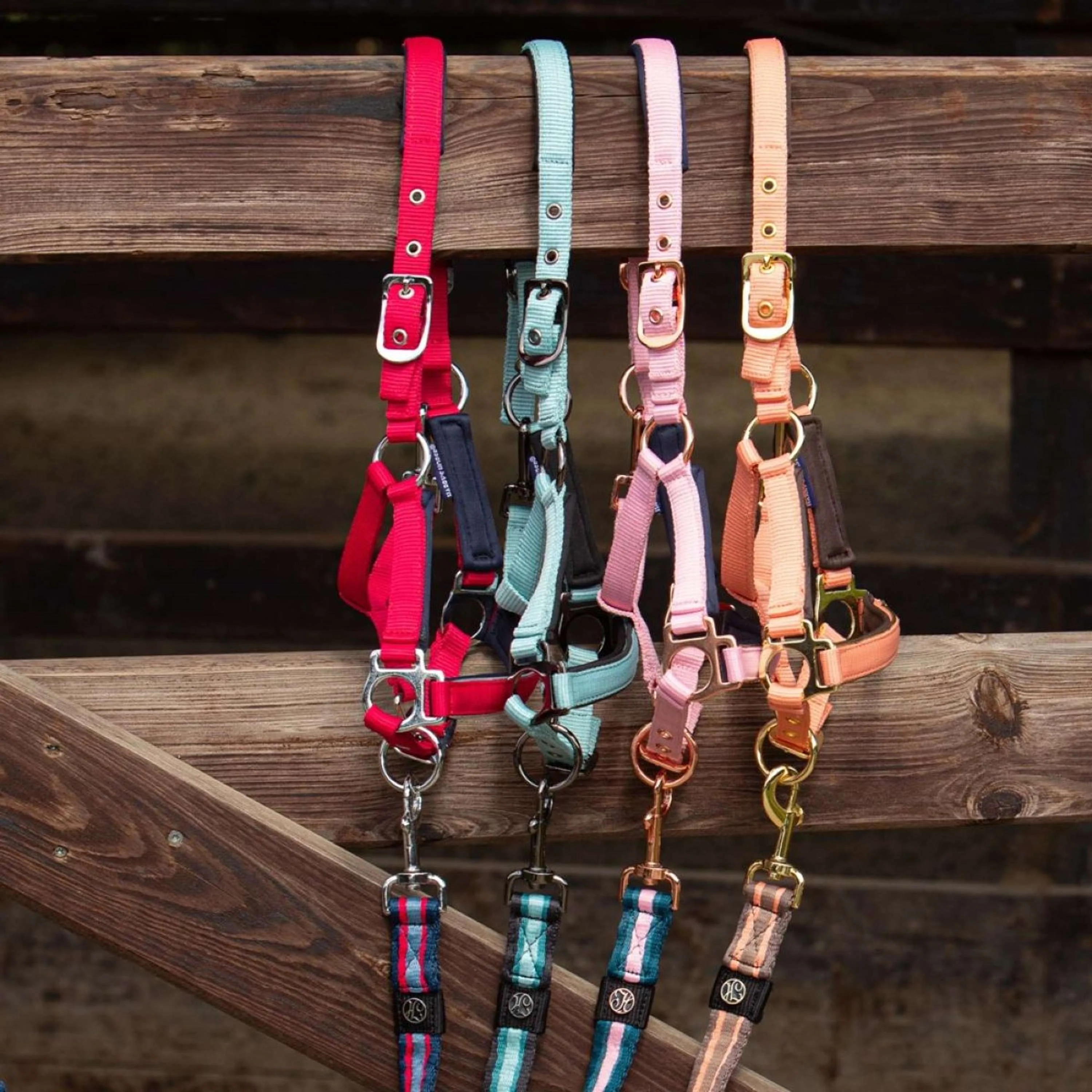Harry's Horse Licol pour Poulain Metal Barberry - Image 2