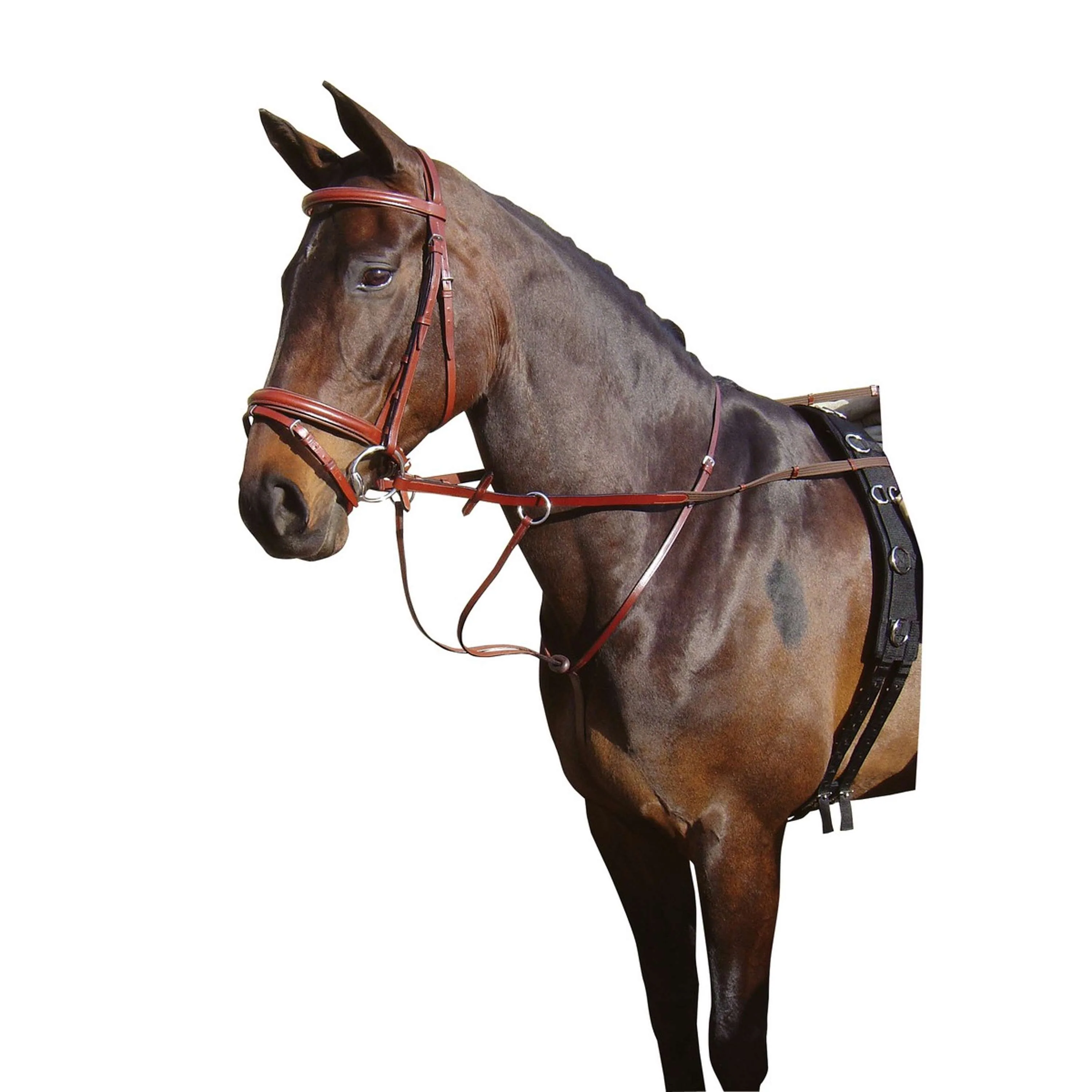 Harry's Horse Martingale Marron - Image 2