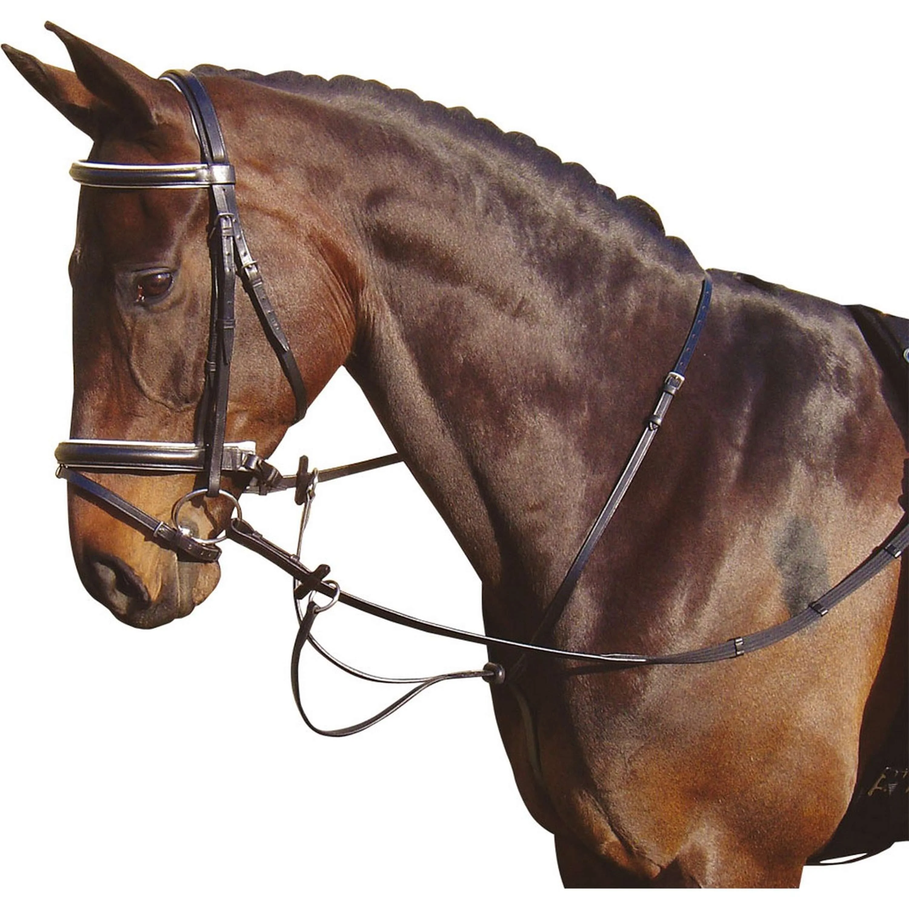 Harry's Horse Martingale Noir - Image 2