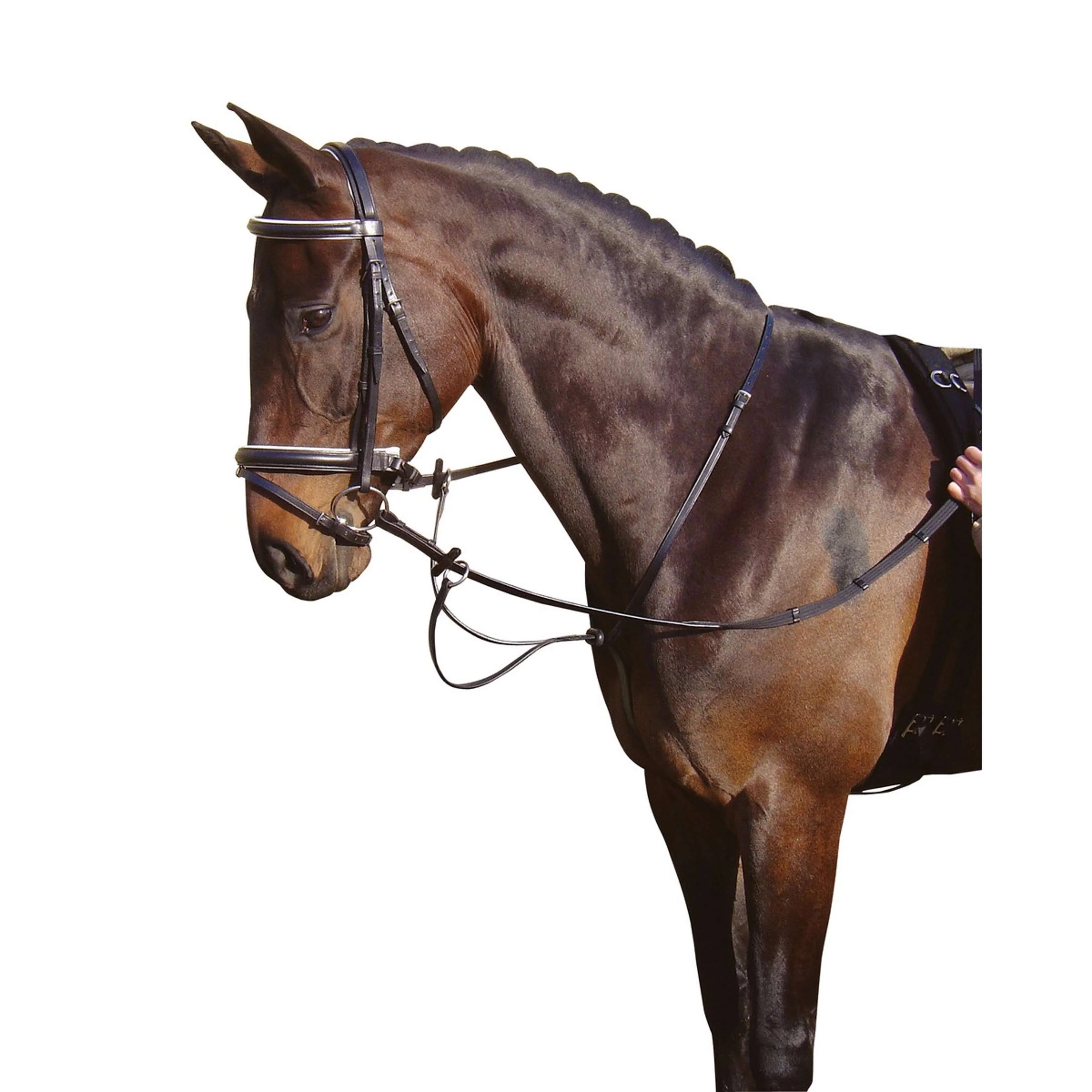 Harry's Horse Martingale Noir - Image 3