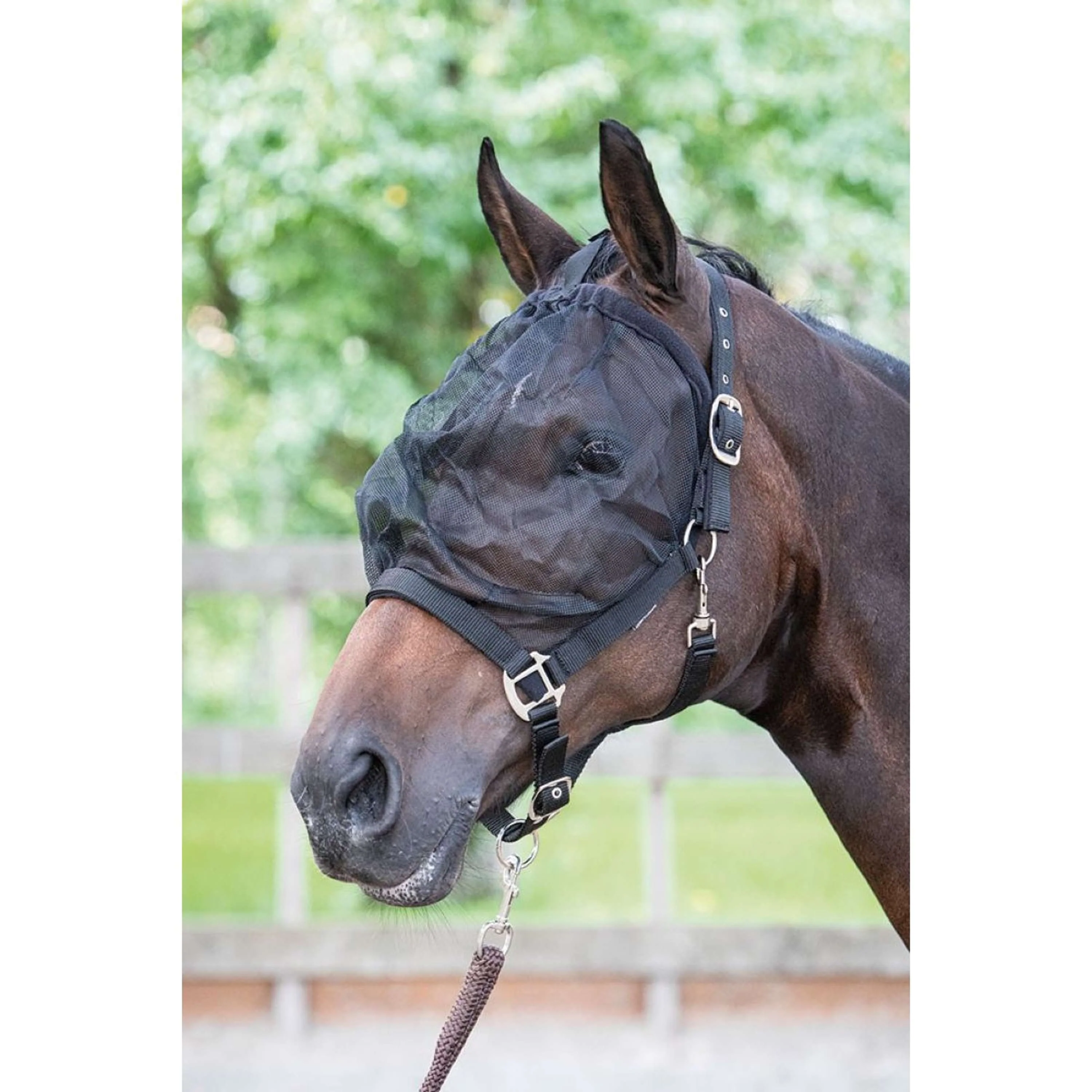 Harry's Horse Masque Anti-Mouches Licol - Image 2