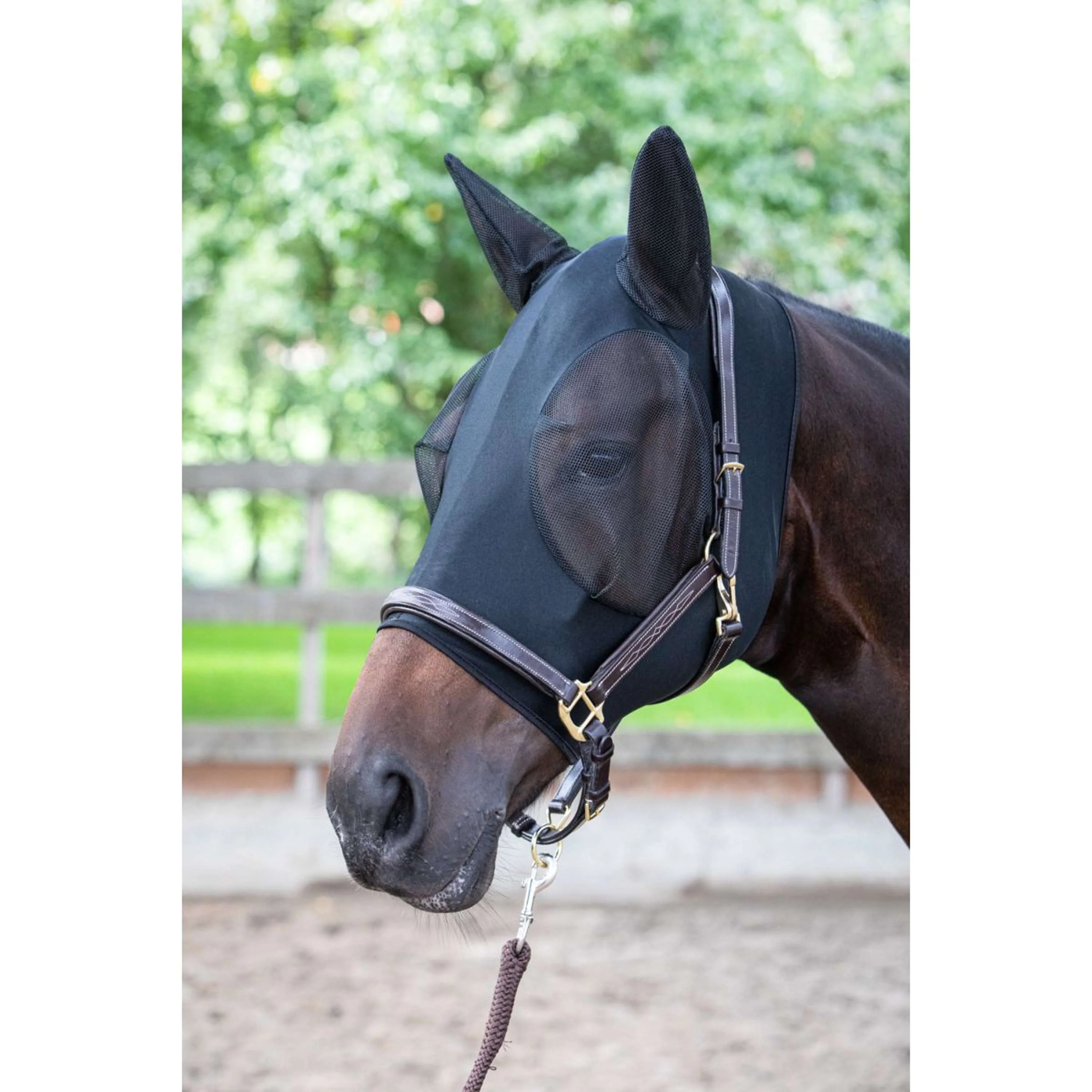 Harry's Horse Masque Anti-Mouches SkinFit avec Oreilles Noir - Image 4