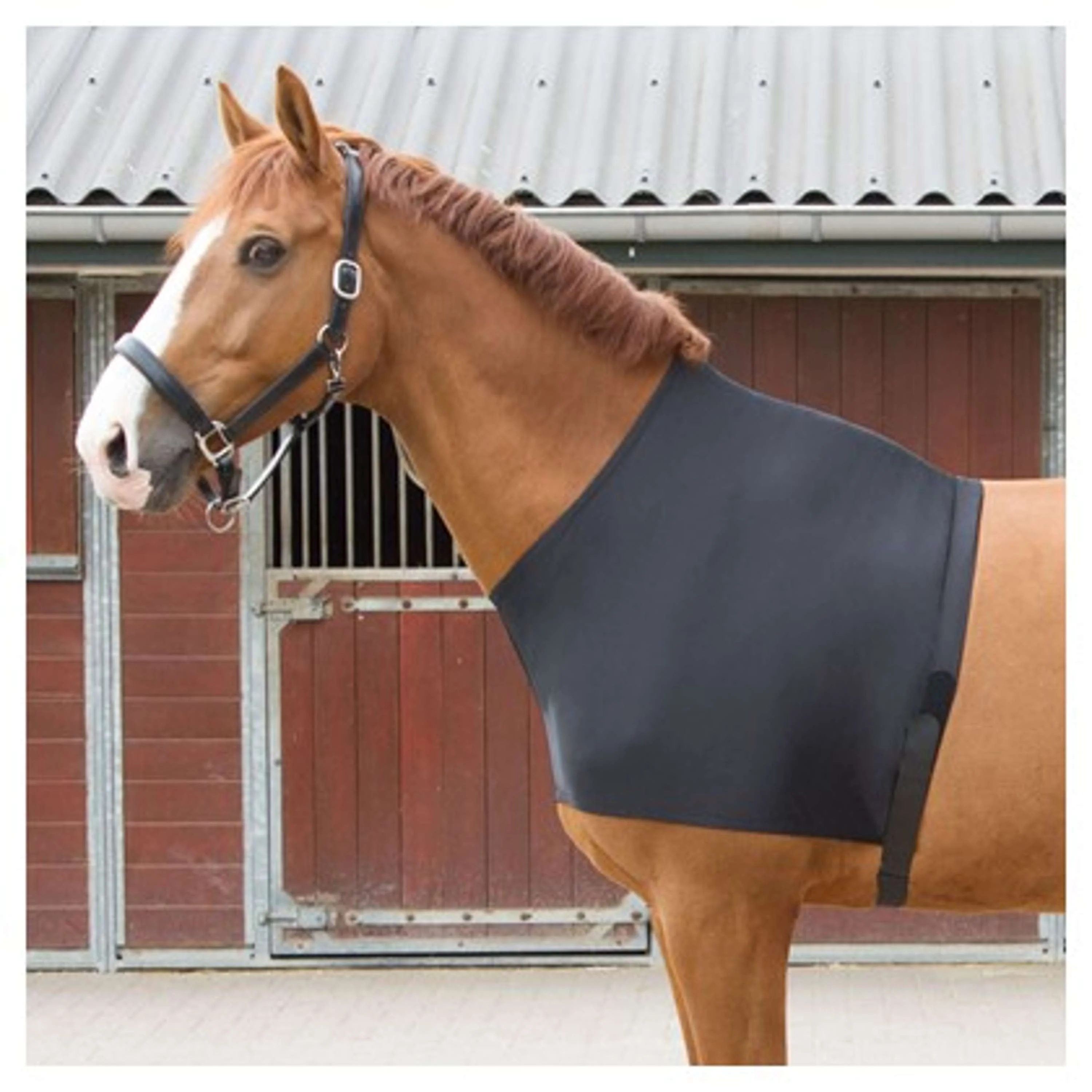Harry's Horse Protection de Poitrail Lycra Noir - Image 5