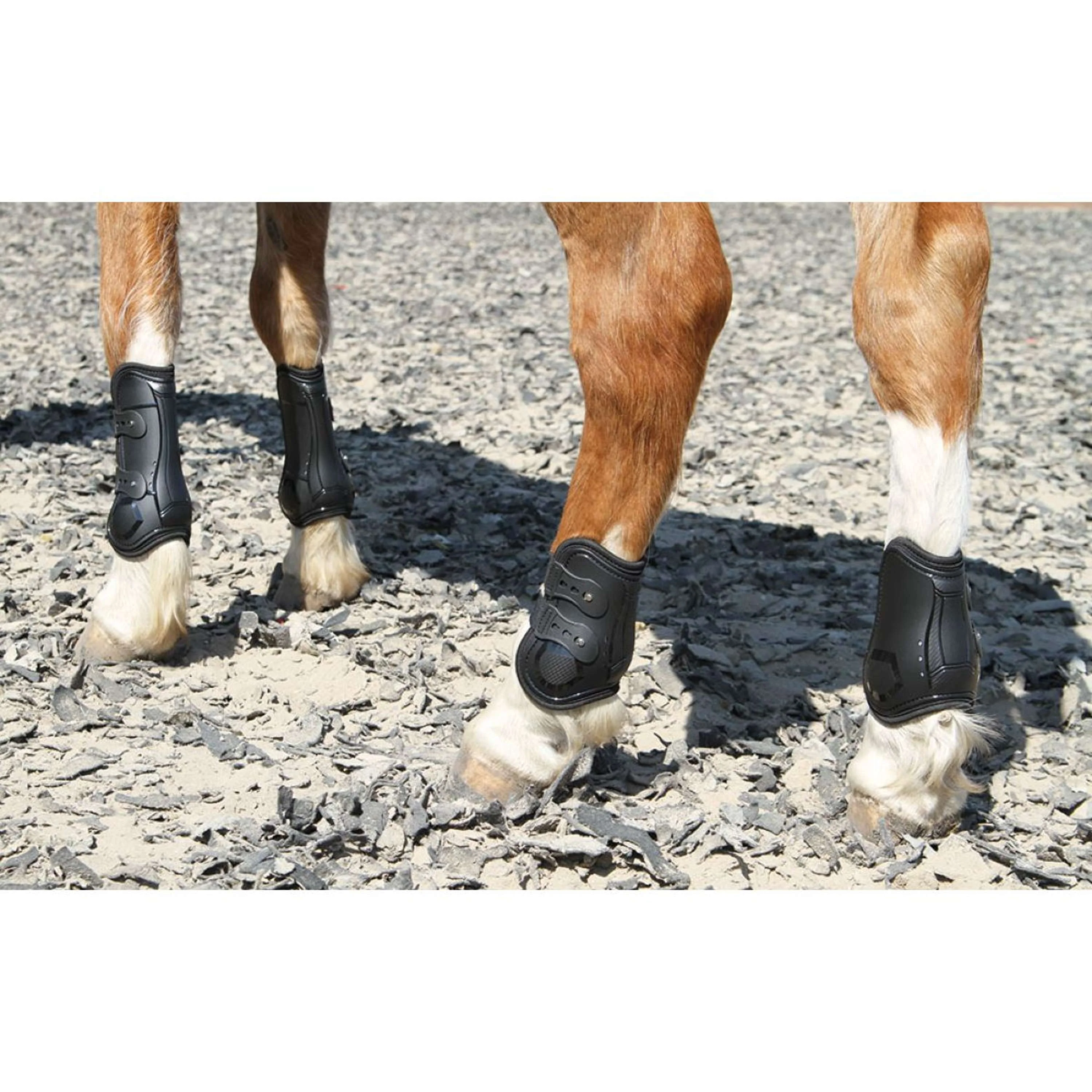 Harry's Horse Protège-Boulets Percy Noir - Image 3
