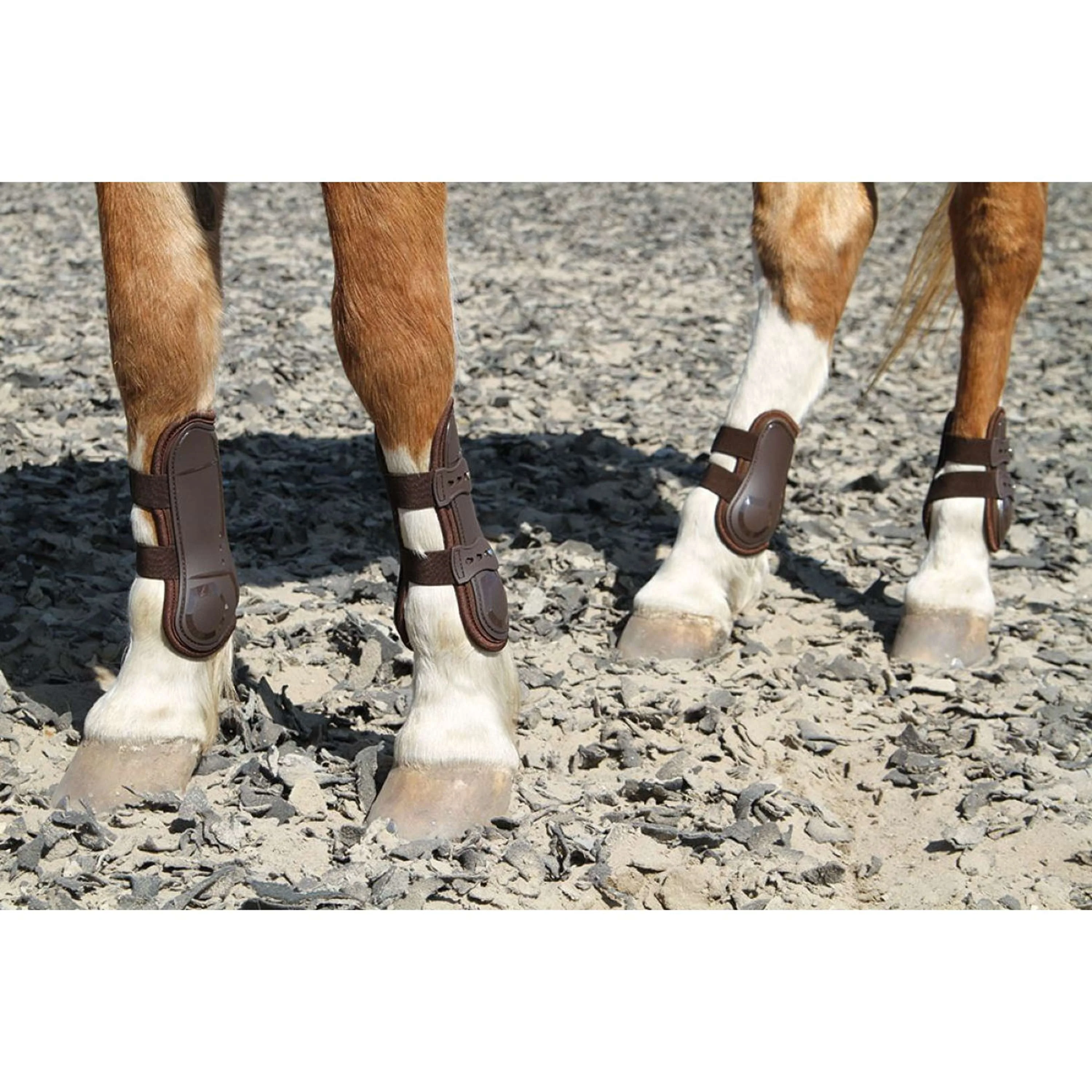 Harry's Horse Protèges-Tendons Percy Marron - Image 3