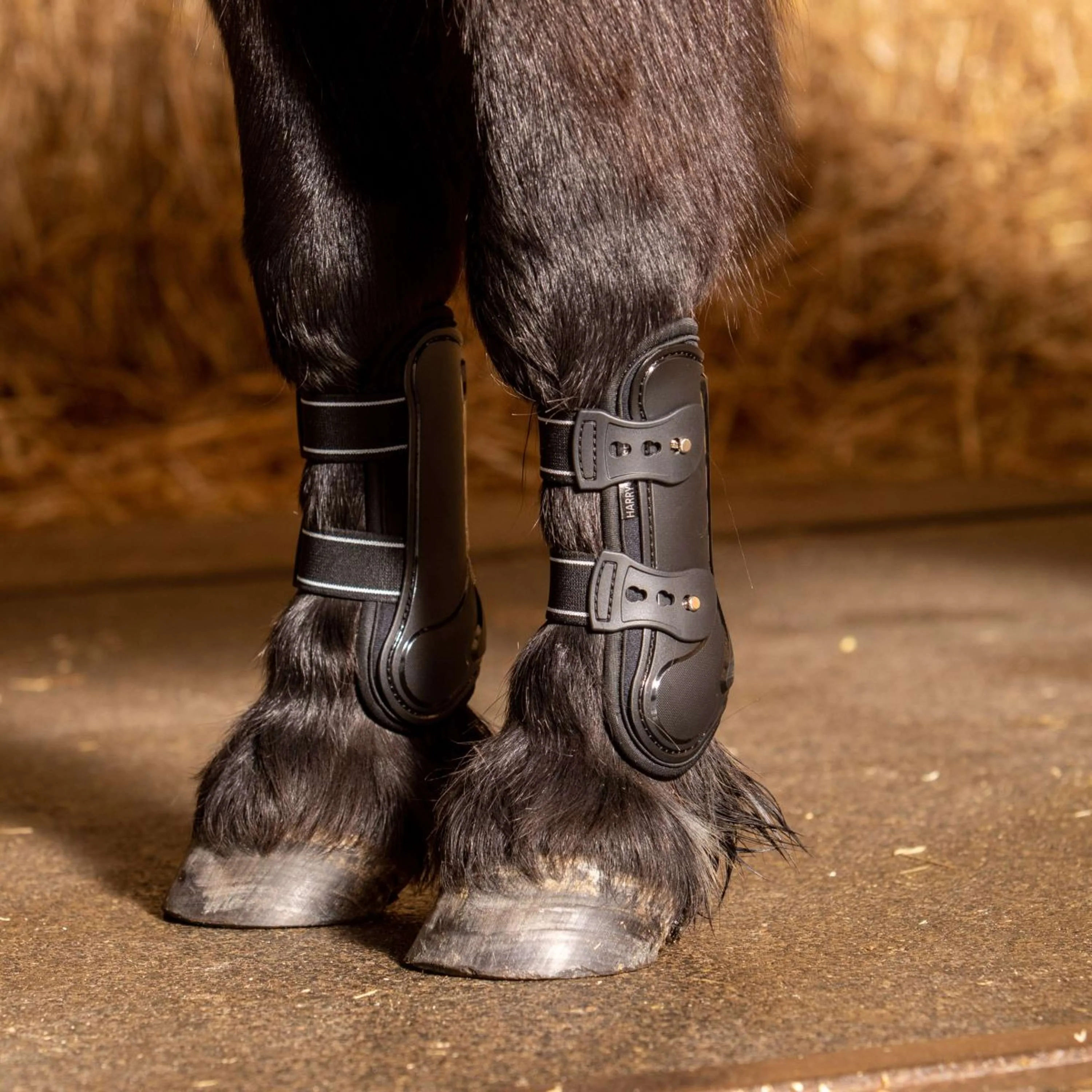 Harry's Horse Protèges-Tendons Pinlock Noir - Image 2