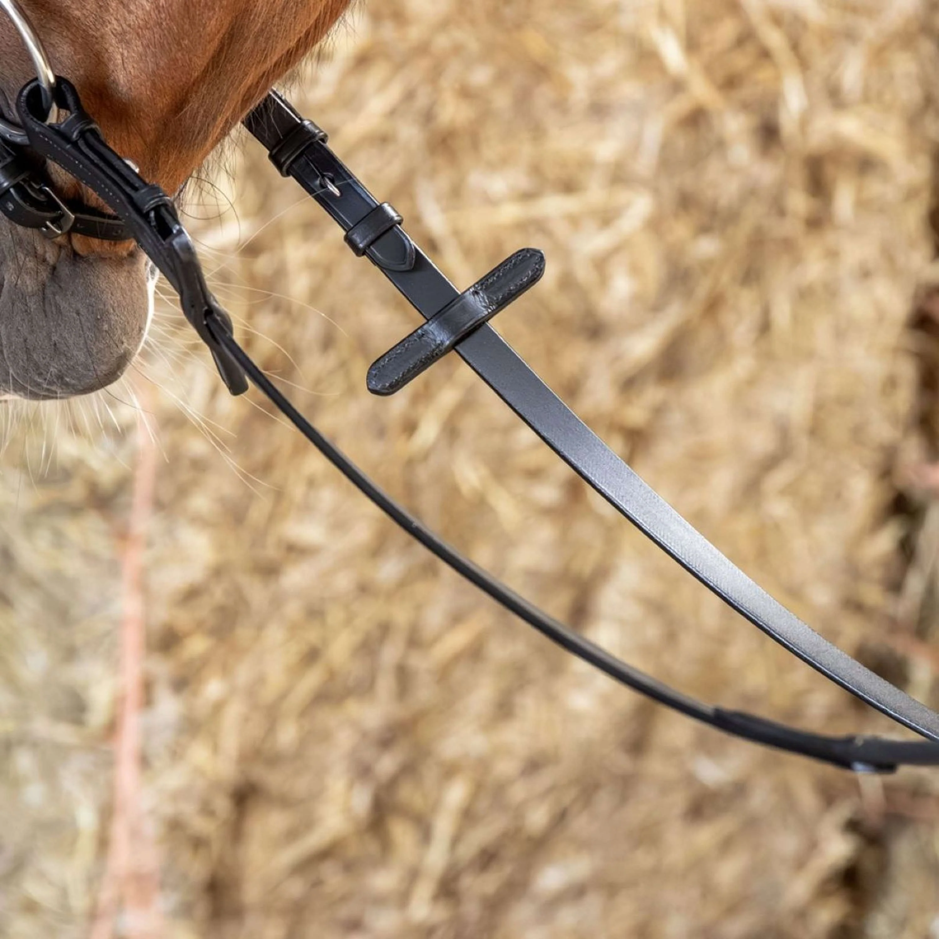 Harry's Horse Rênes Kris Xtreme Noir - Image 3