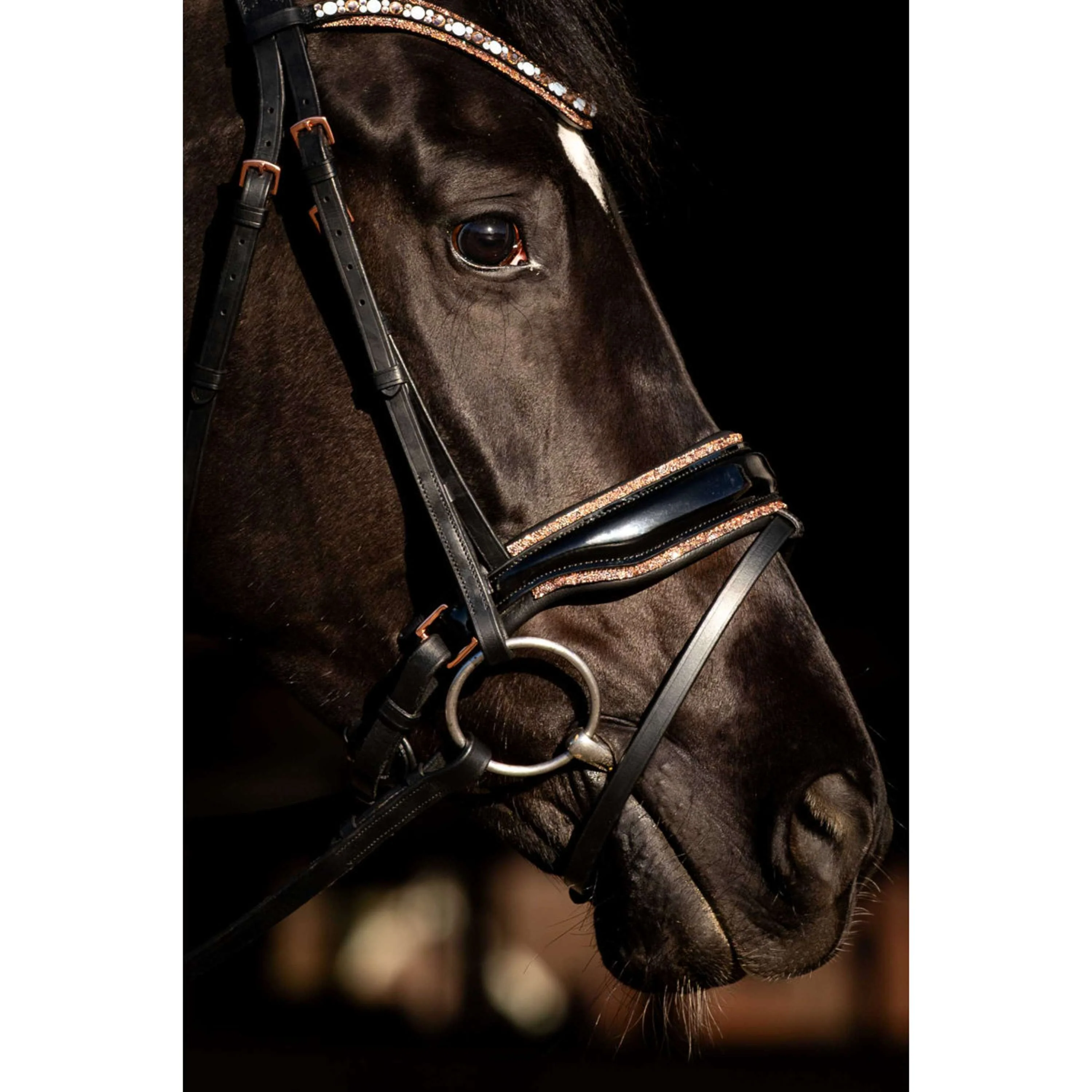 HB Bride Copper Sky Noir - Image 3