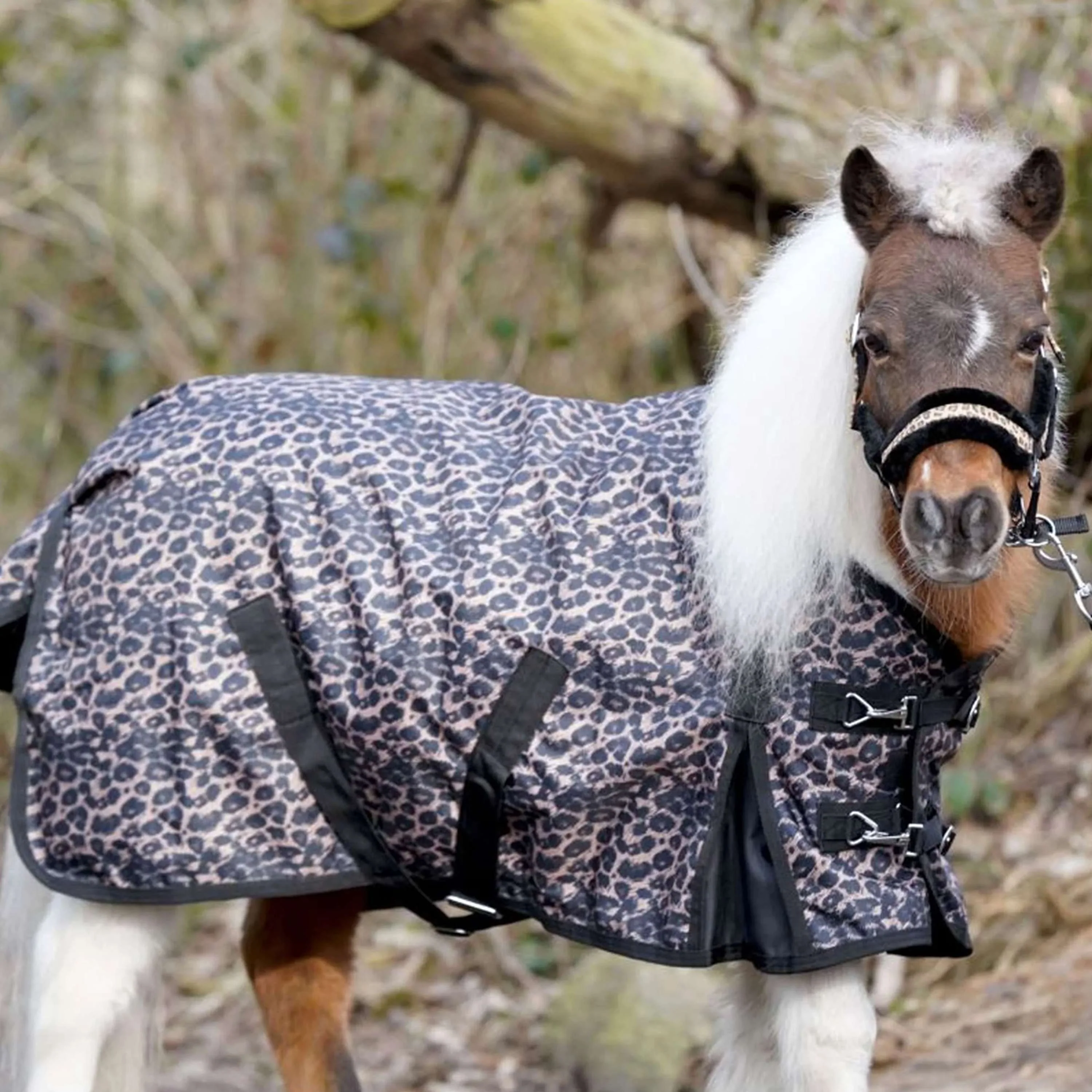 HB Couverture d'Extérieur Leopard Poney 0g Léopard - Image 2
