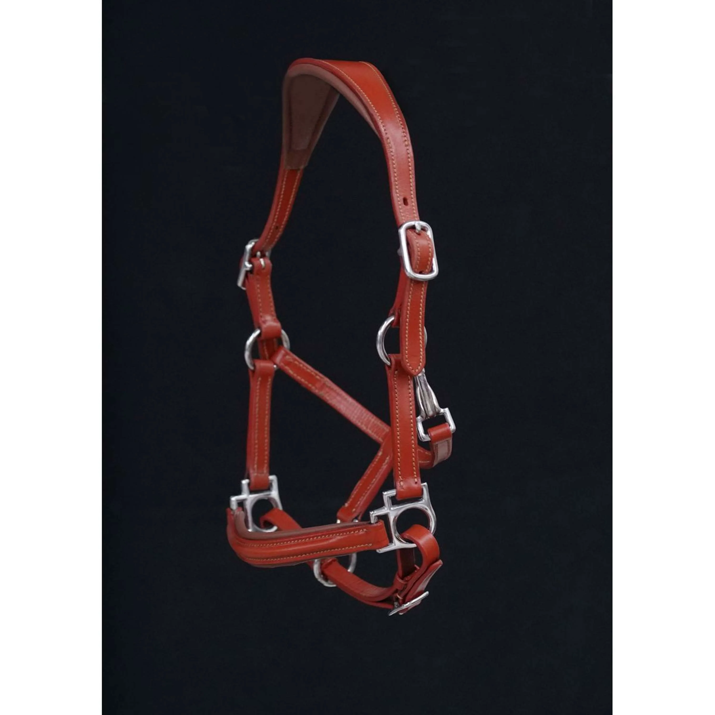 HB Licol Showtime Little Sizes Cognac/Cognac - Image 3