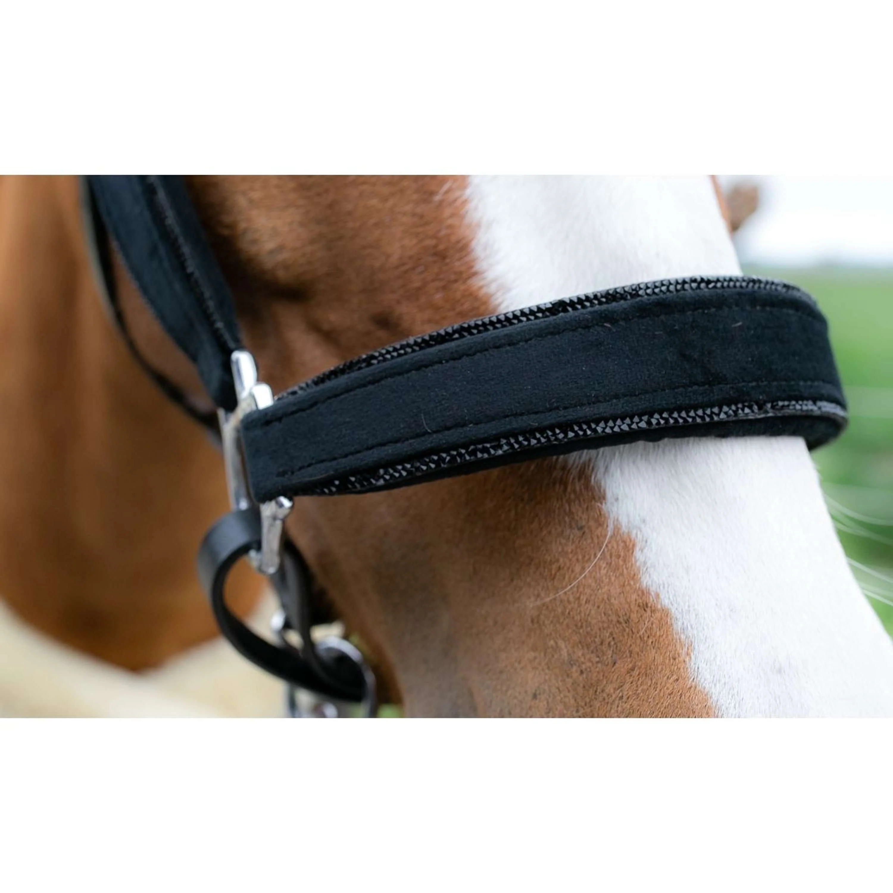 HB Licol Showtime Velvet Little Sizes Noir/Noir Briller - Image 2