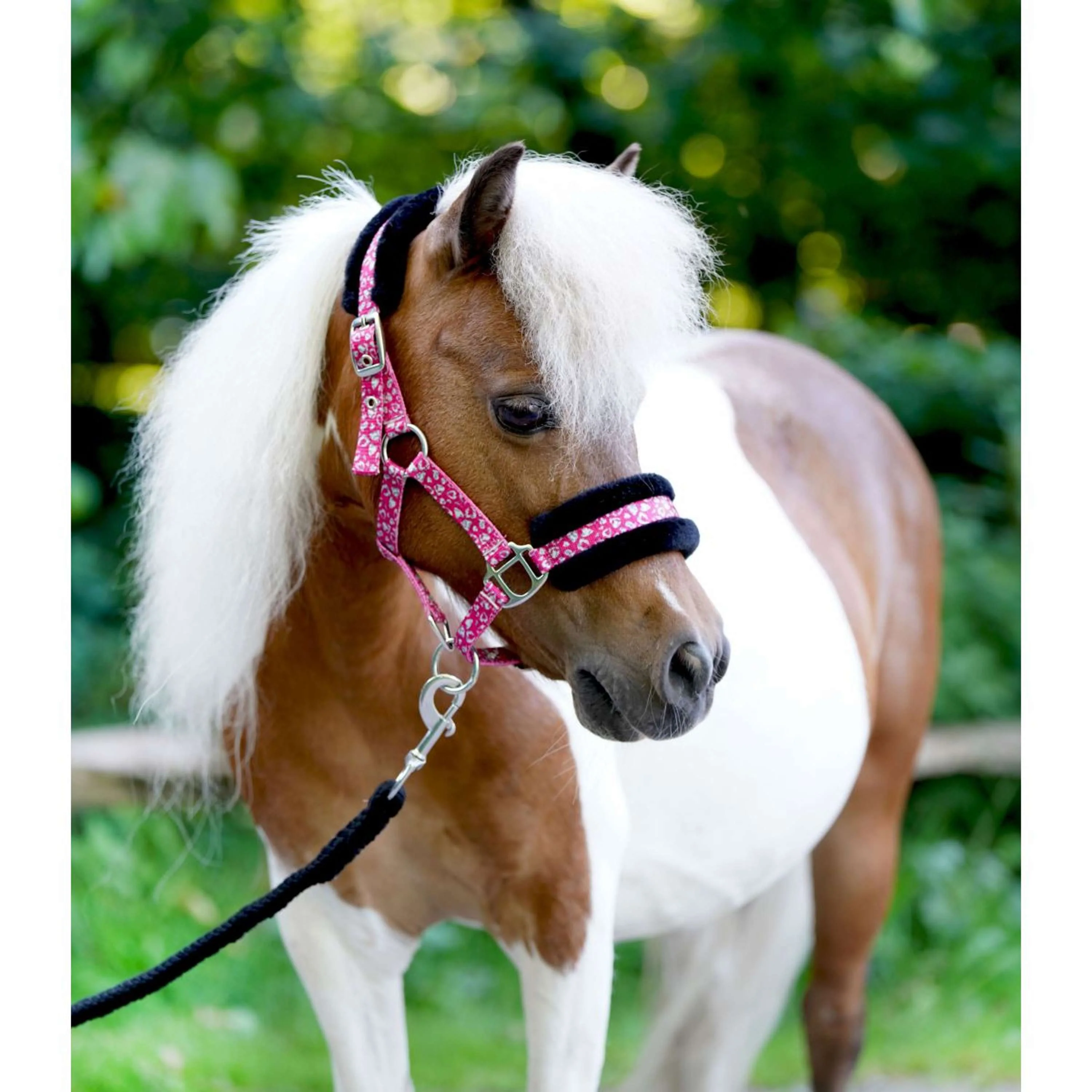 HB Licol Sunny Flower Fuchsia - Image 3