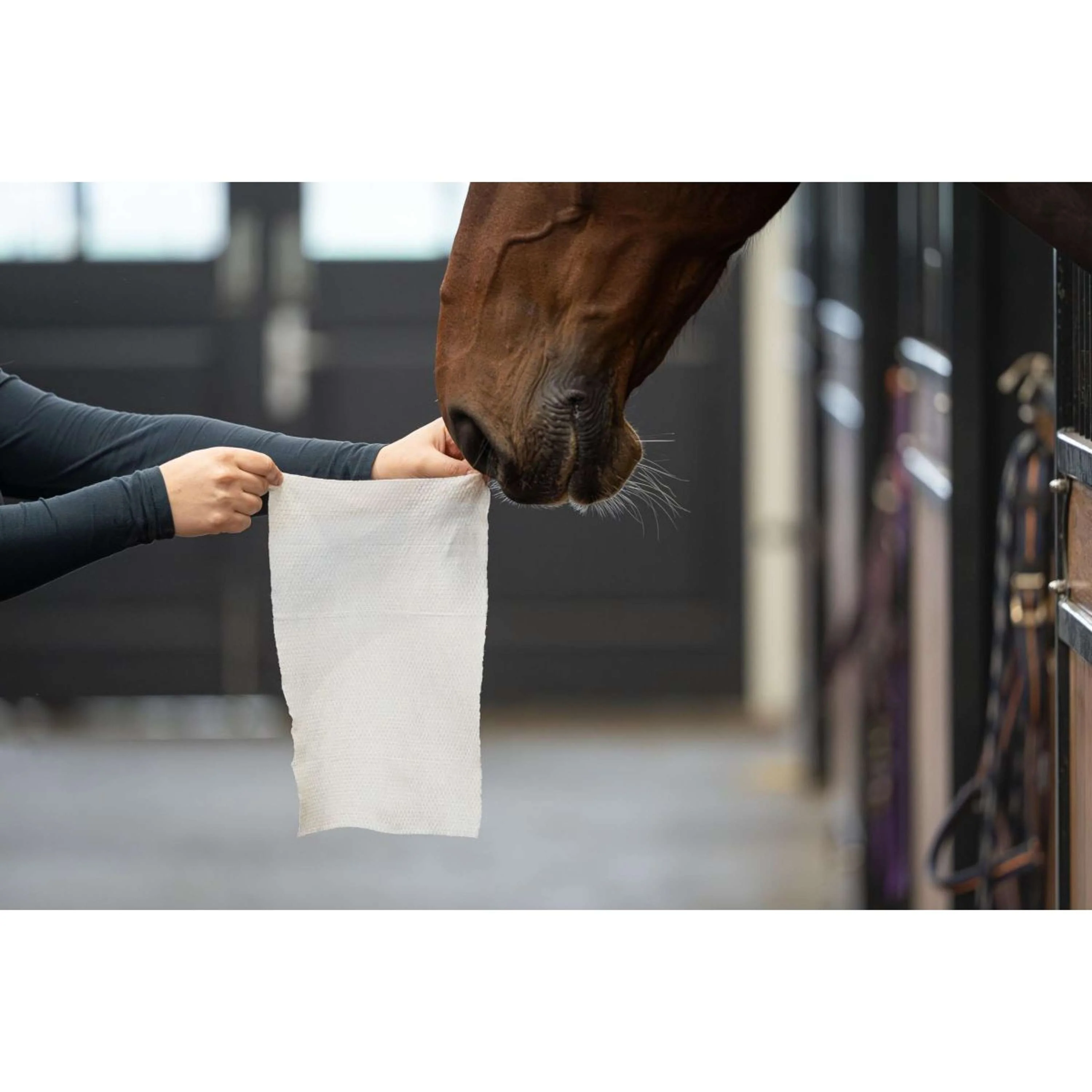 HB HorseWipes Natural Clean Blanc - Image 5