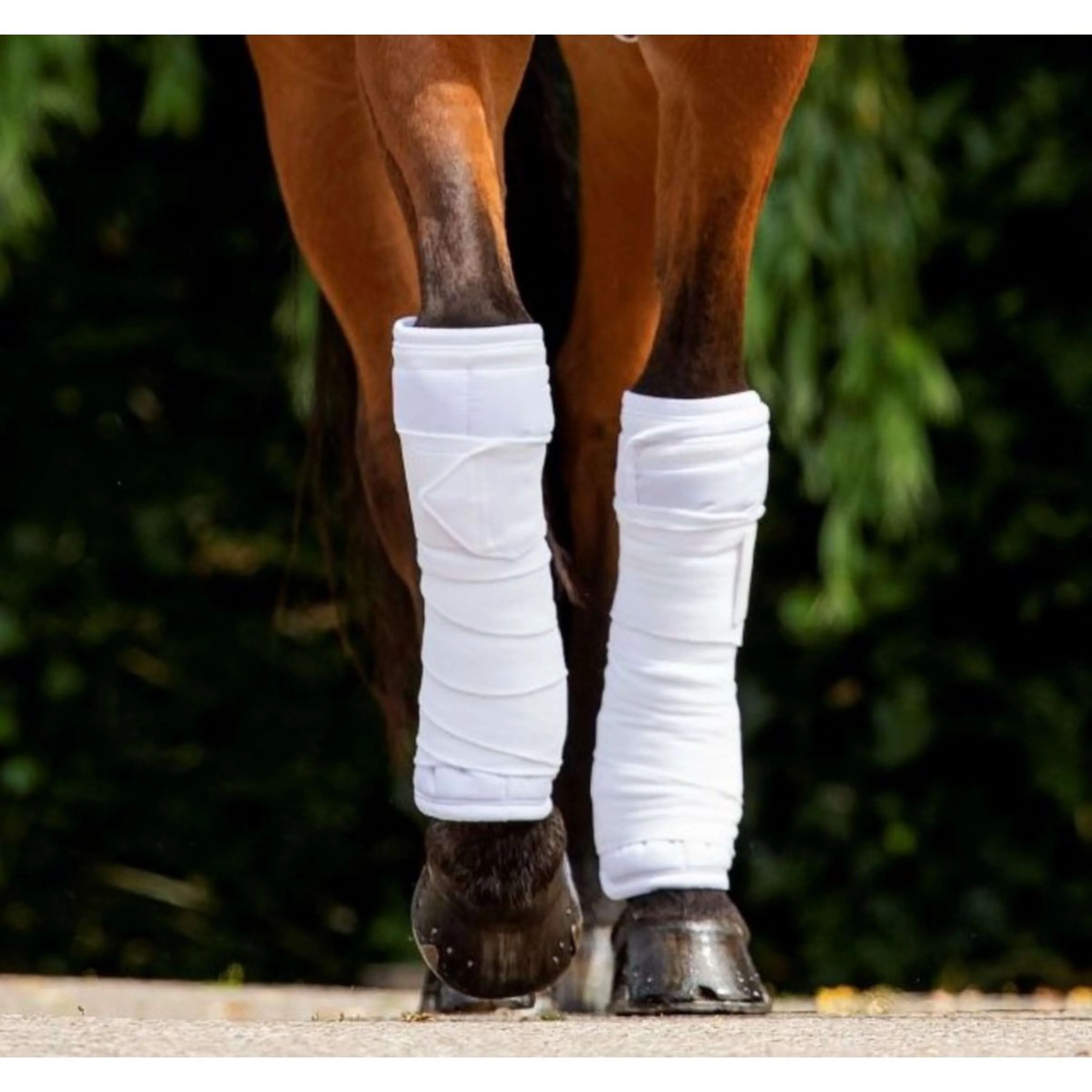HB Bandages Blanc - Image 2