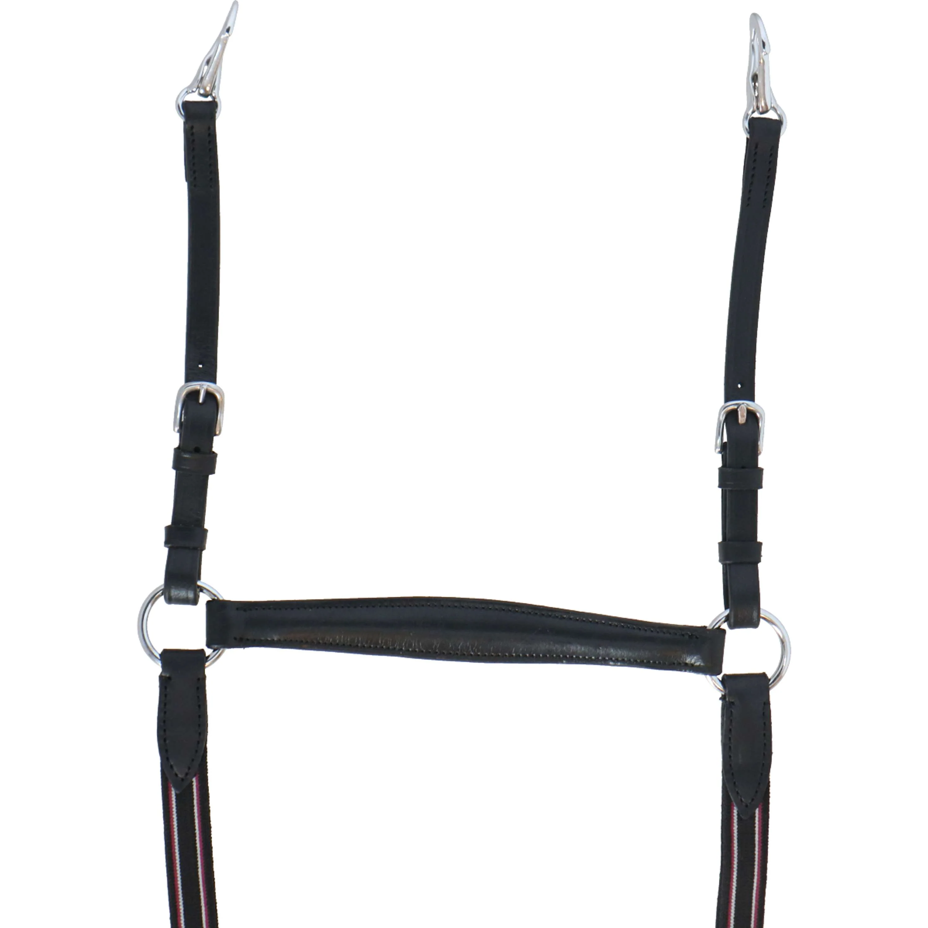 HB Collier de Chasse Leer Noir - Image 3