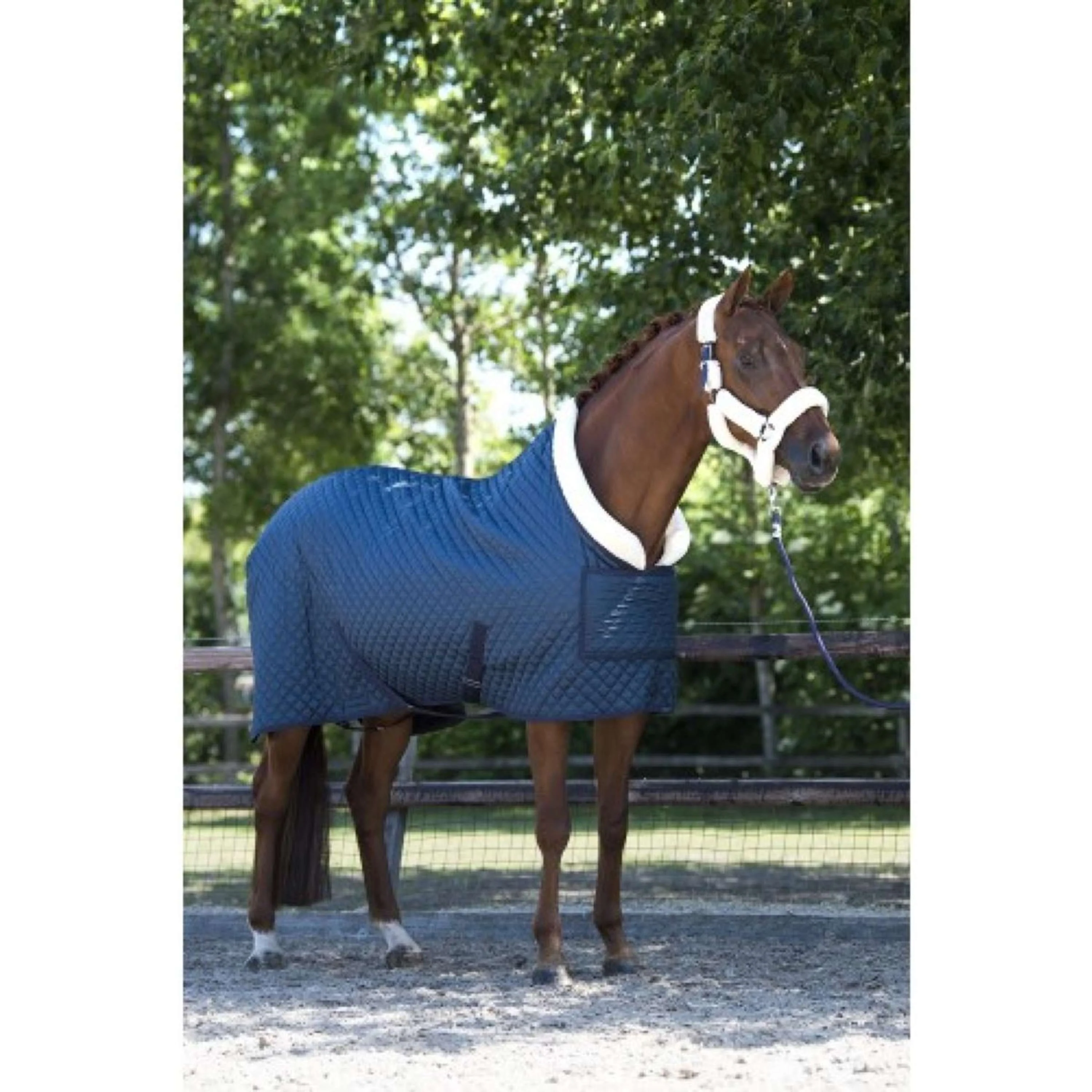 HB Couverture de Concours Desire160gr Bleu Acier - Image 9