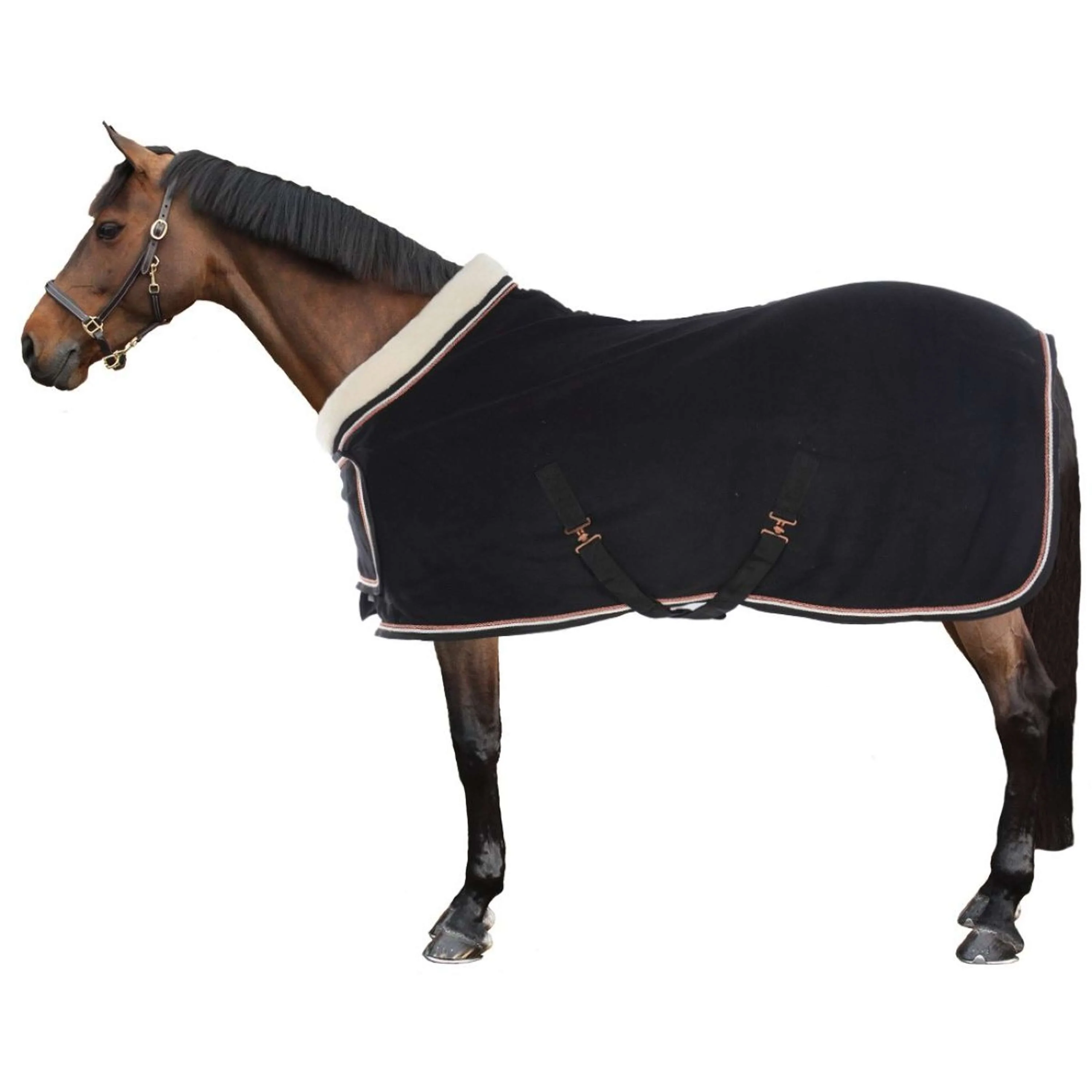 HB Couverture de Concours Dutch Crown Europe Rose Noir - Image 4