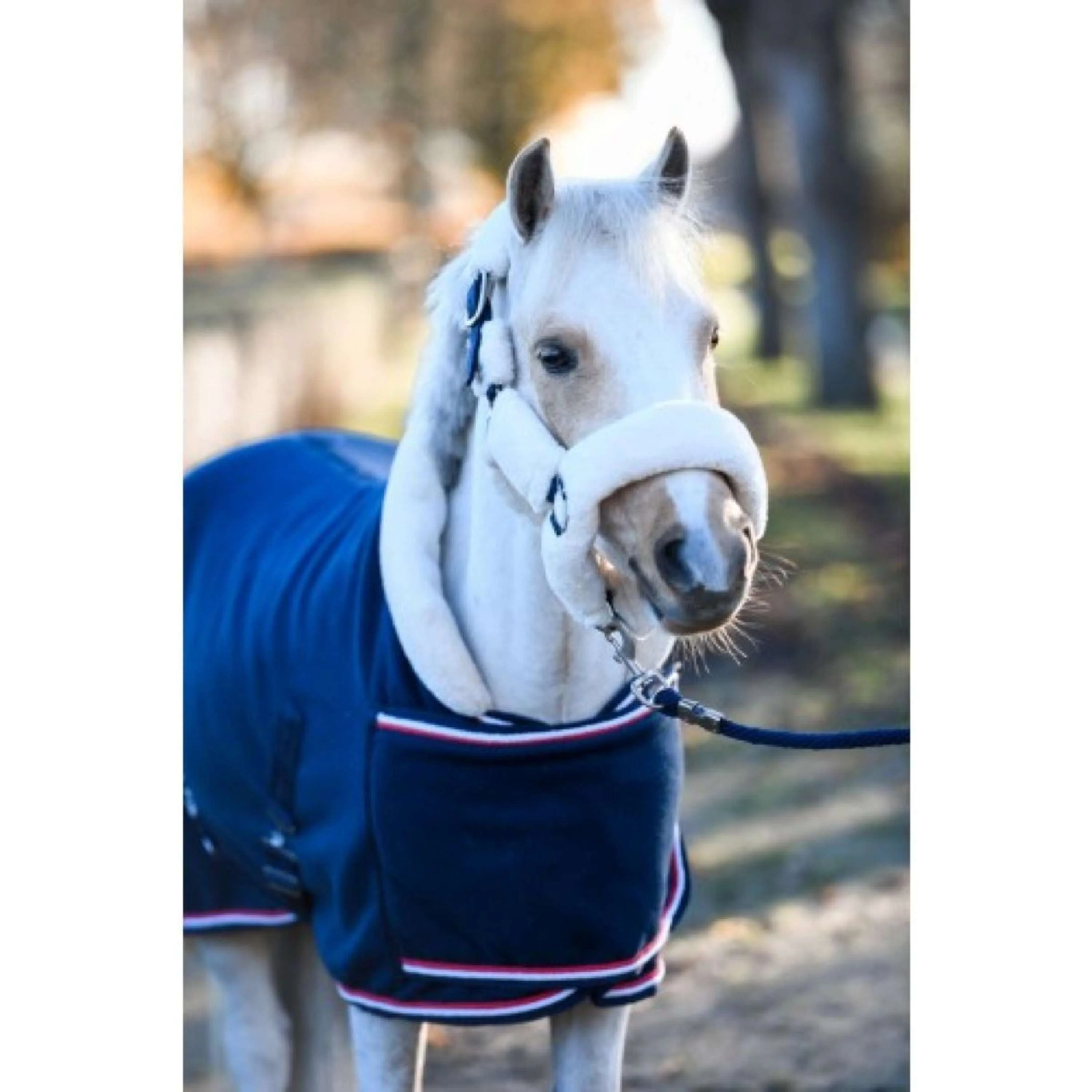 HB Couverture de Concours Dutch Crown Little Sizes Marin - Image 3