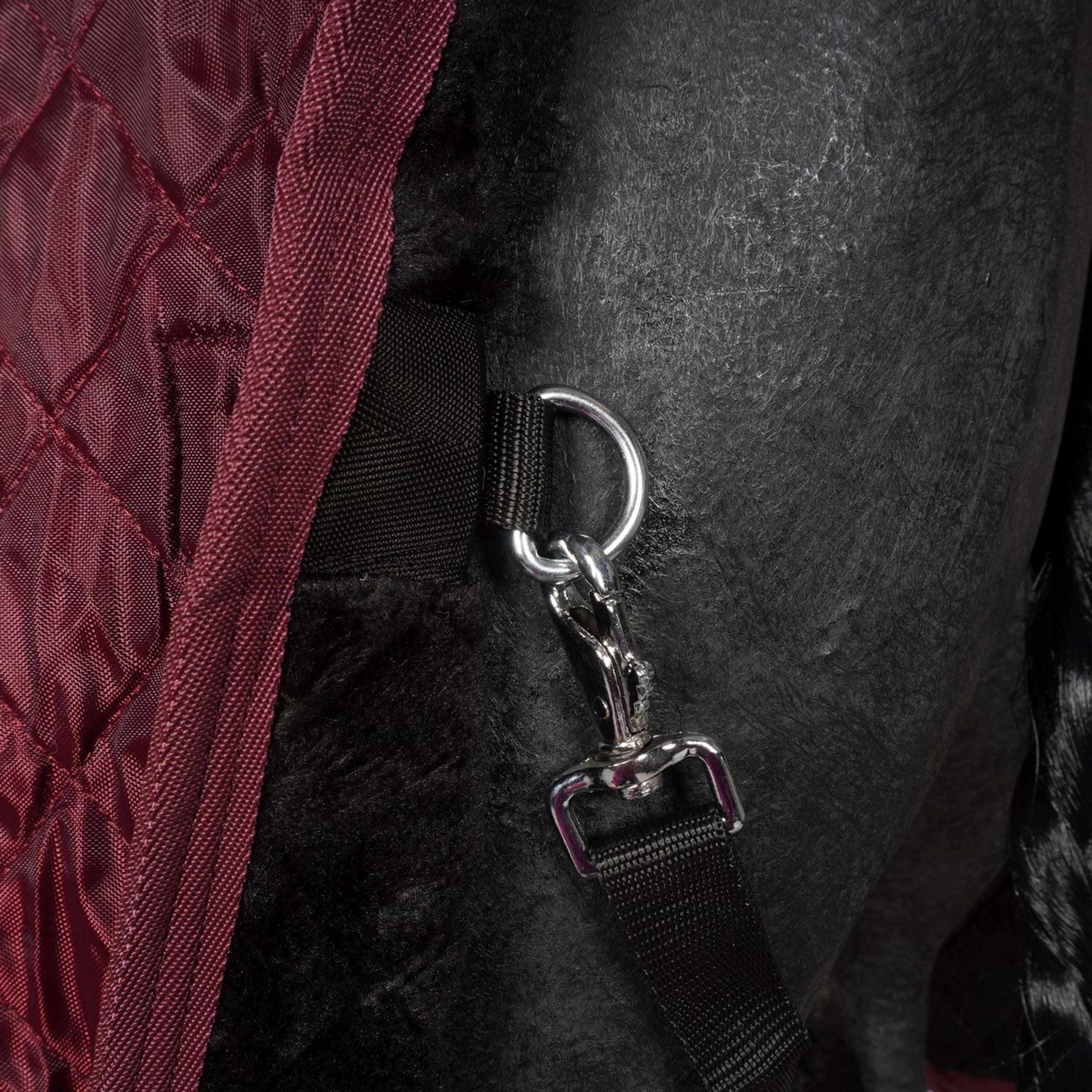 HB Couverture de Concours Showtime Burgundy Bordeaux - Image 8
