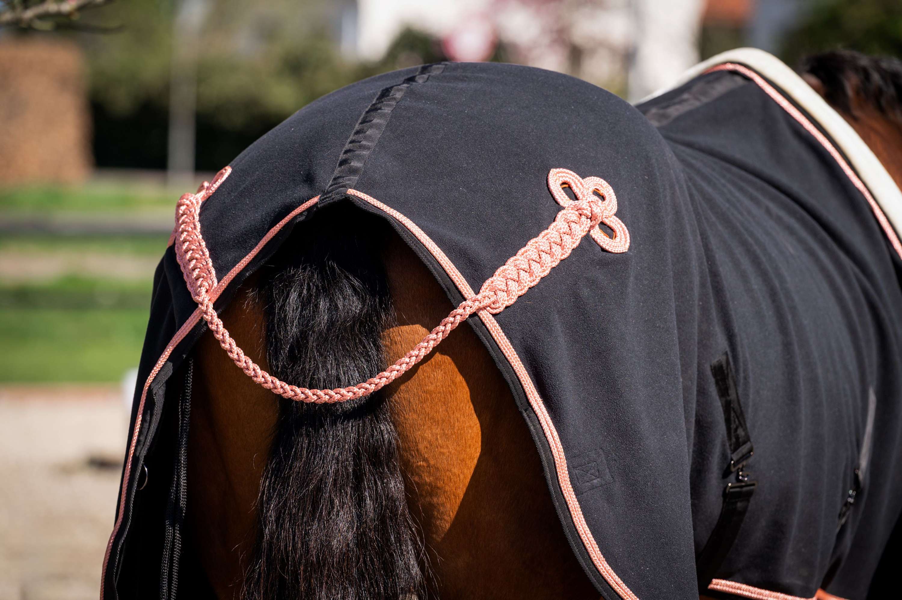 HB Couverture de Concours Showtime Rose Gold avec Couvre-cou Noir - Image 2